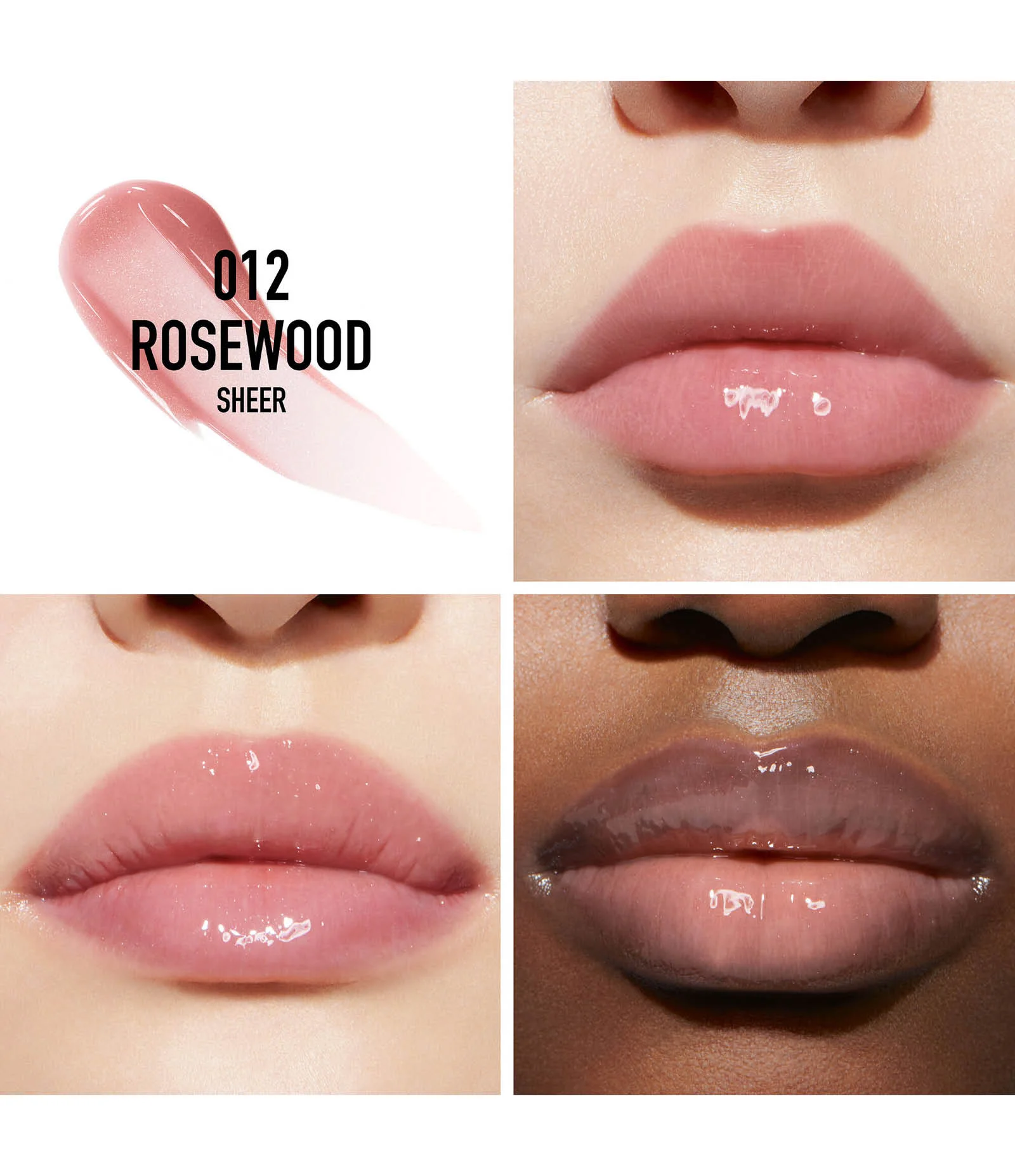 Gloss Addict Lip Maximizer Dior 012 Rosewood 2