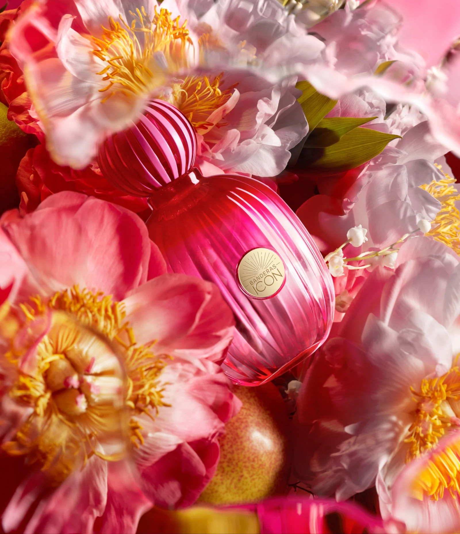 Perfume Antonio Banderas The Icon Eau De Parfum 50ml 3