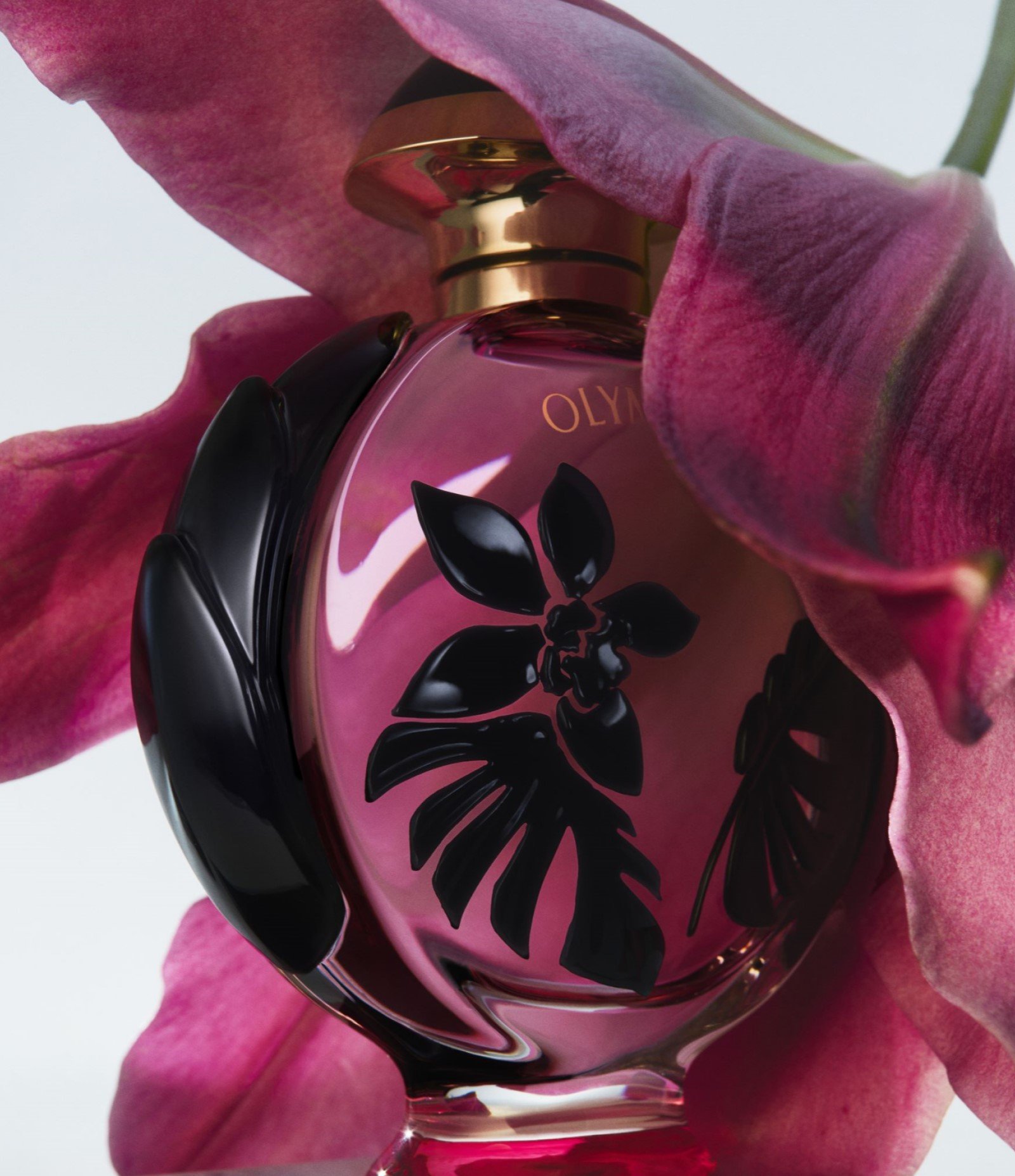 Perfume Paco Rabanne Olympea Flora Eau De Parfum 50ml 4