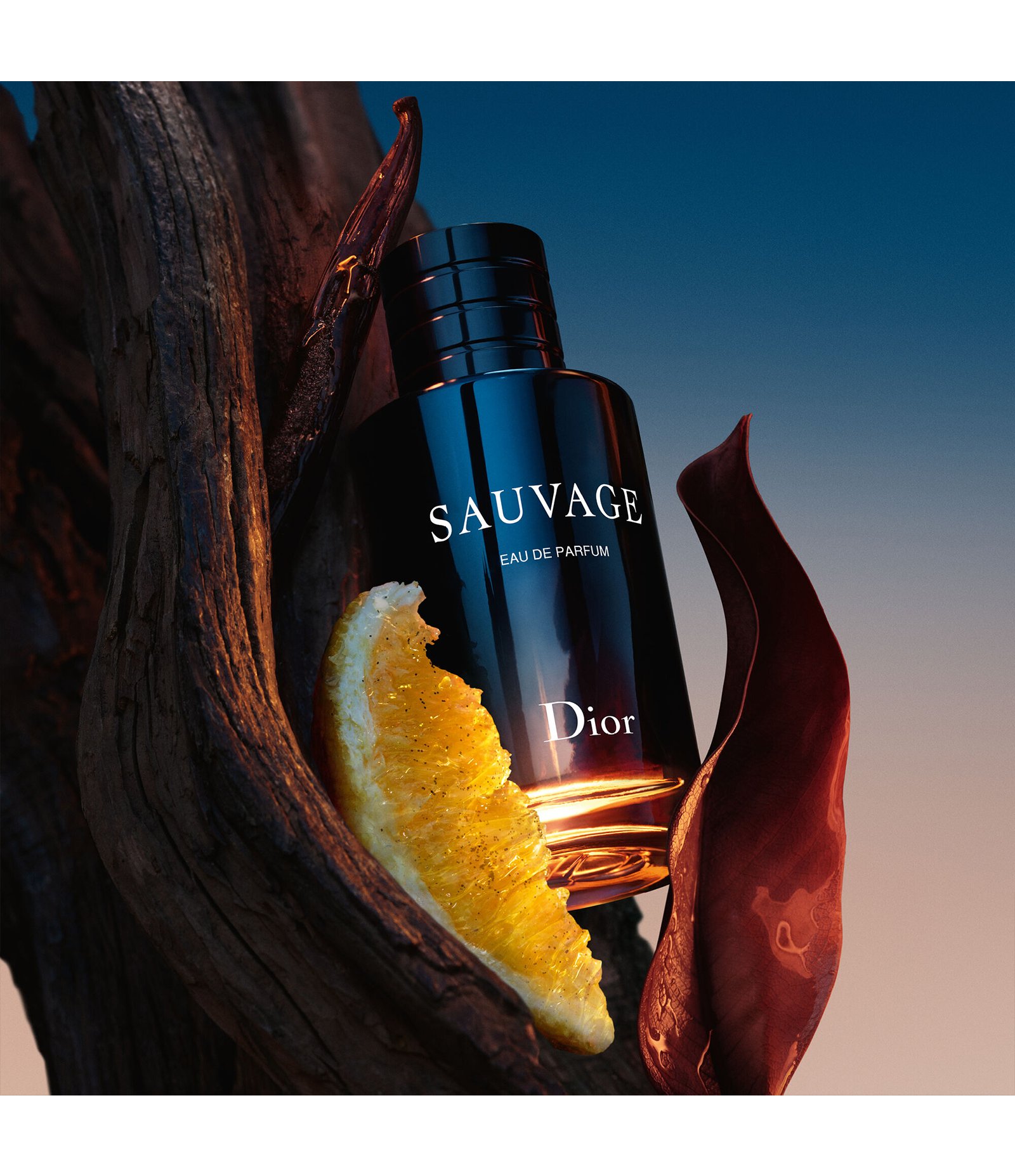 Perfume Sauvage Refilável Eau De Parfum 30ml 4