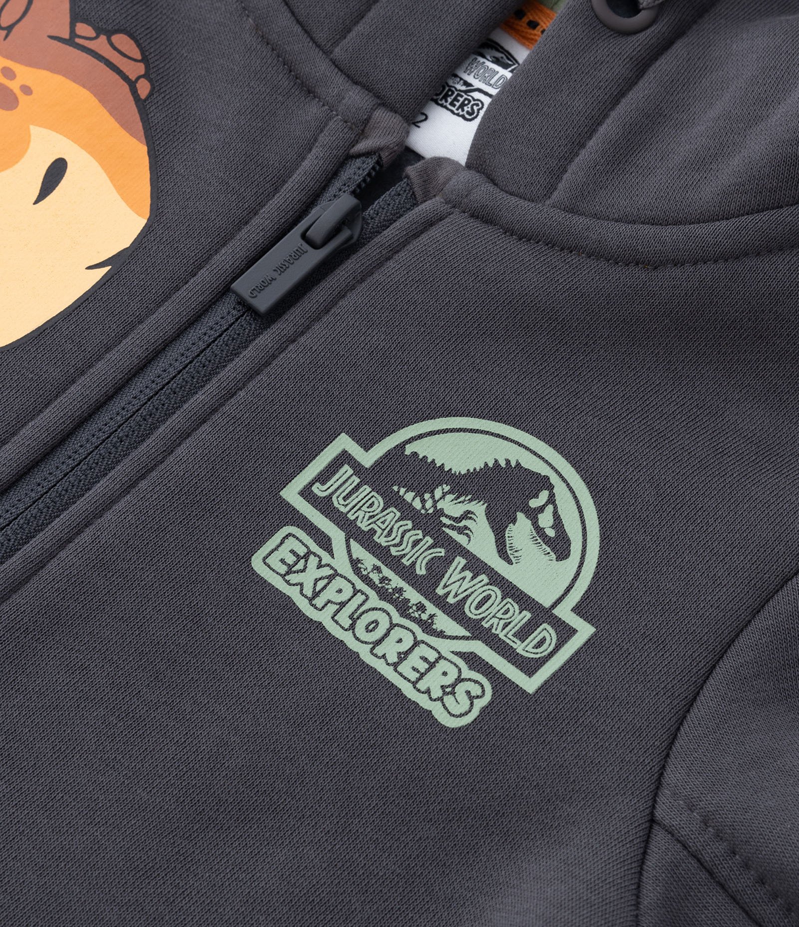 Conjunto Longo Infantil com Estampa do Jurassic Baby - Tam 2 a 5 anos Cinza 9