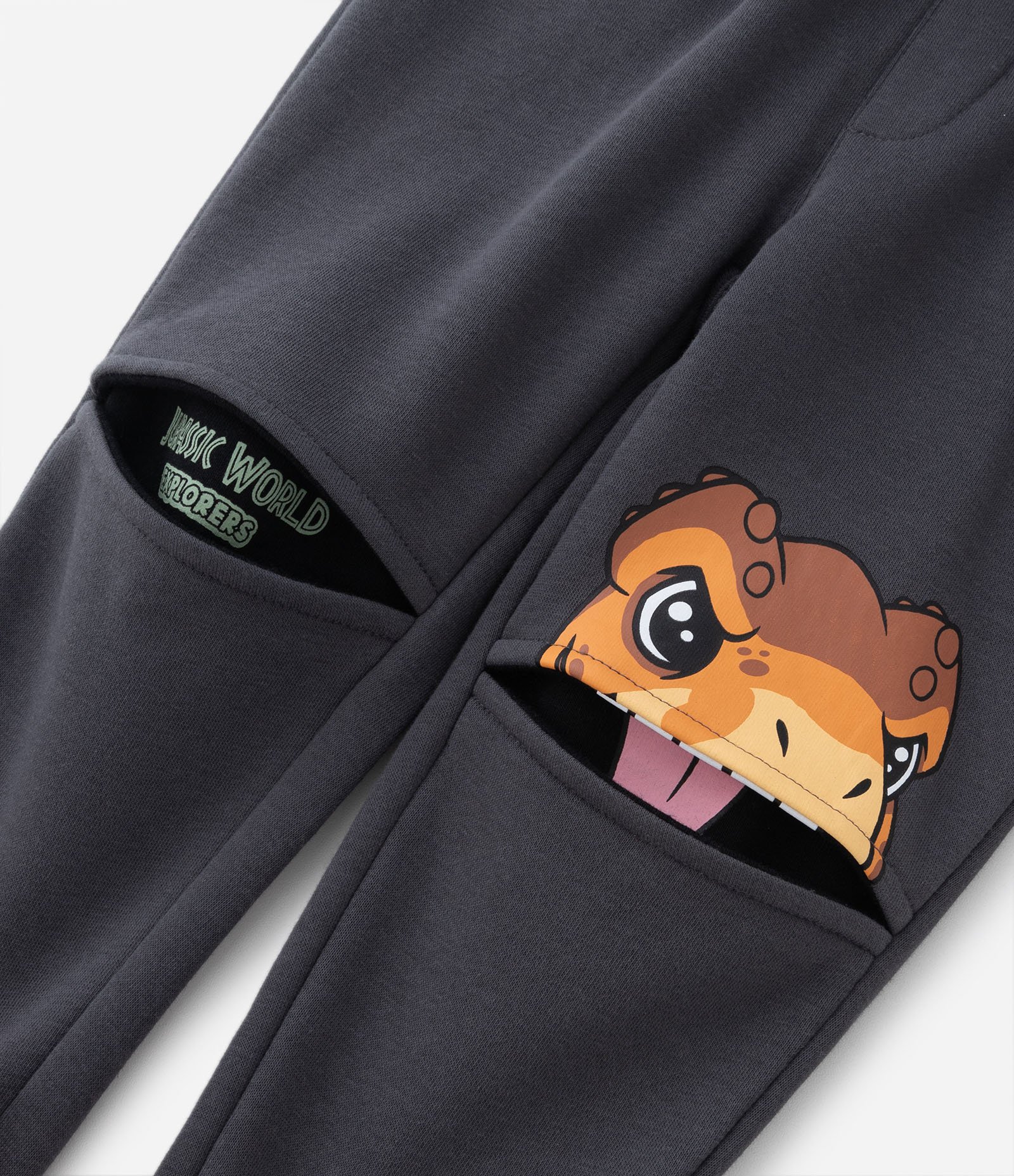 Conjunto Longo Infantil com Estampa do Jurassic Baby - Tam 2 a 5 anos Cinza 7
