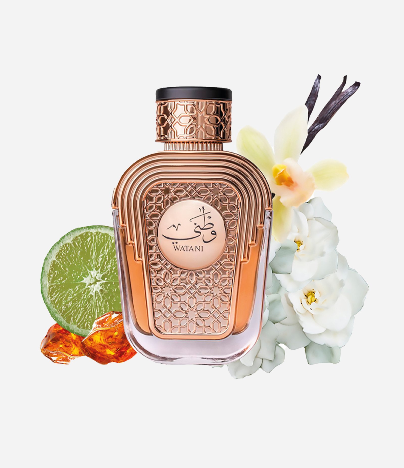 Perfume Al Wataniah WATANI Eau de Parfum 100ml 3