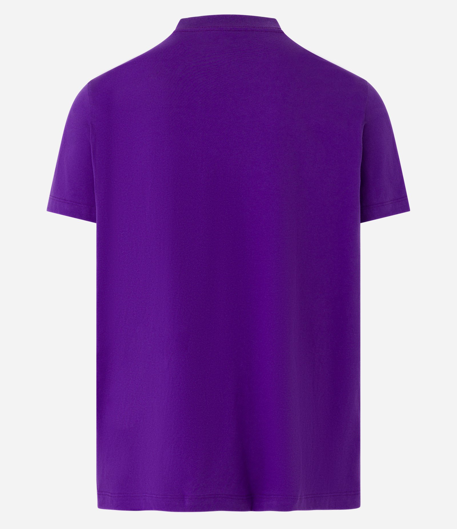 Camiseta Regular em Meia Malha com Estampa de Arame Farpado Roxo 6
