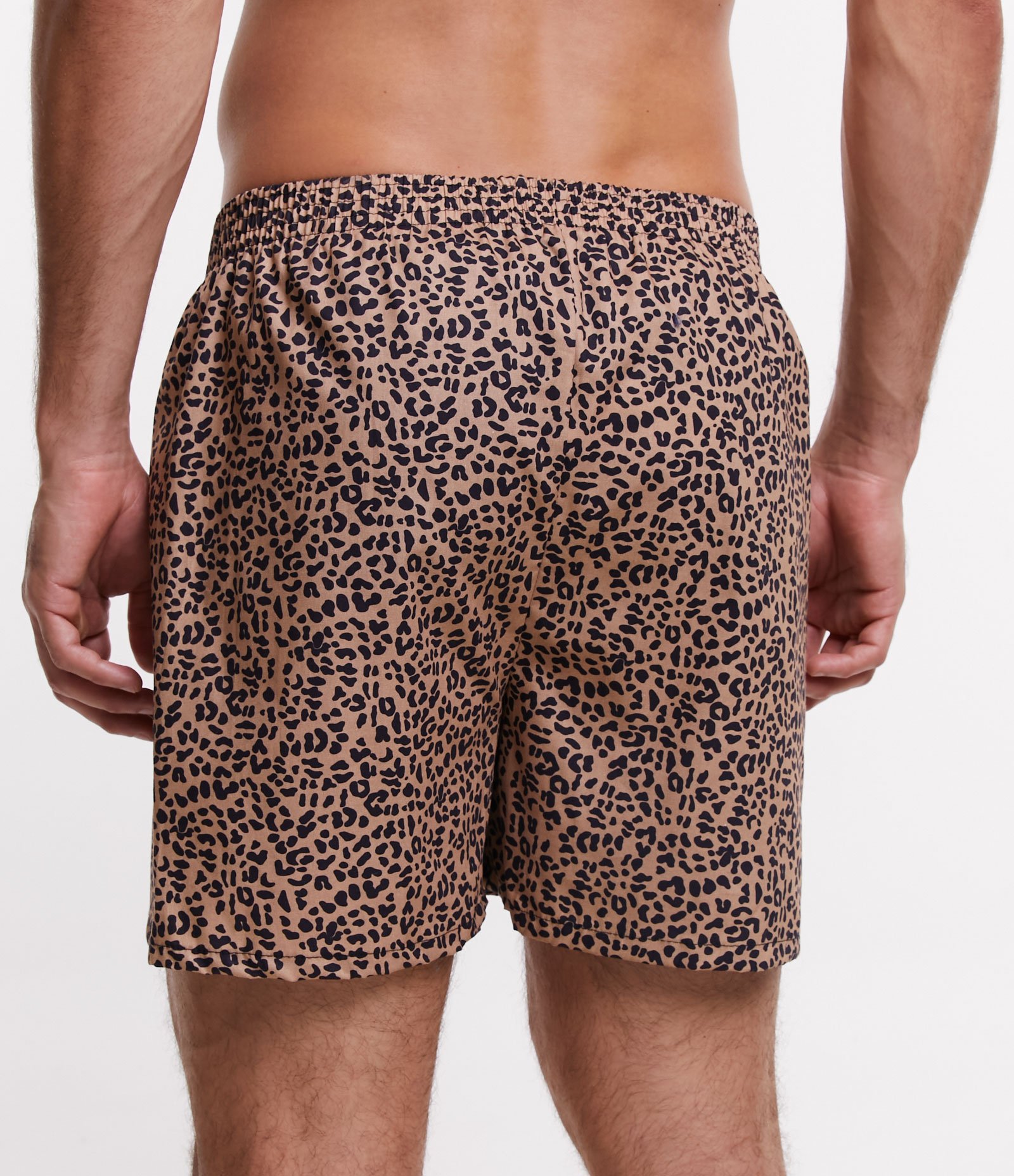 Cueca Samba Canção em Tricoline com Estampa Animal Print Marrom 3