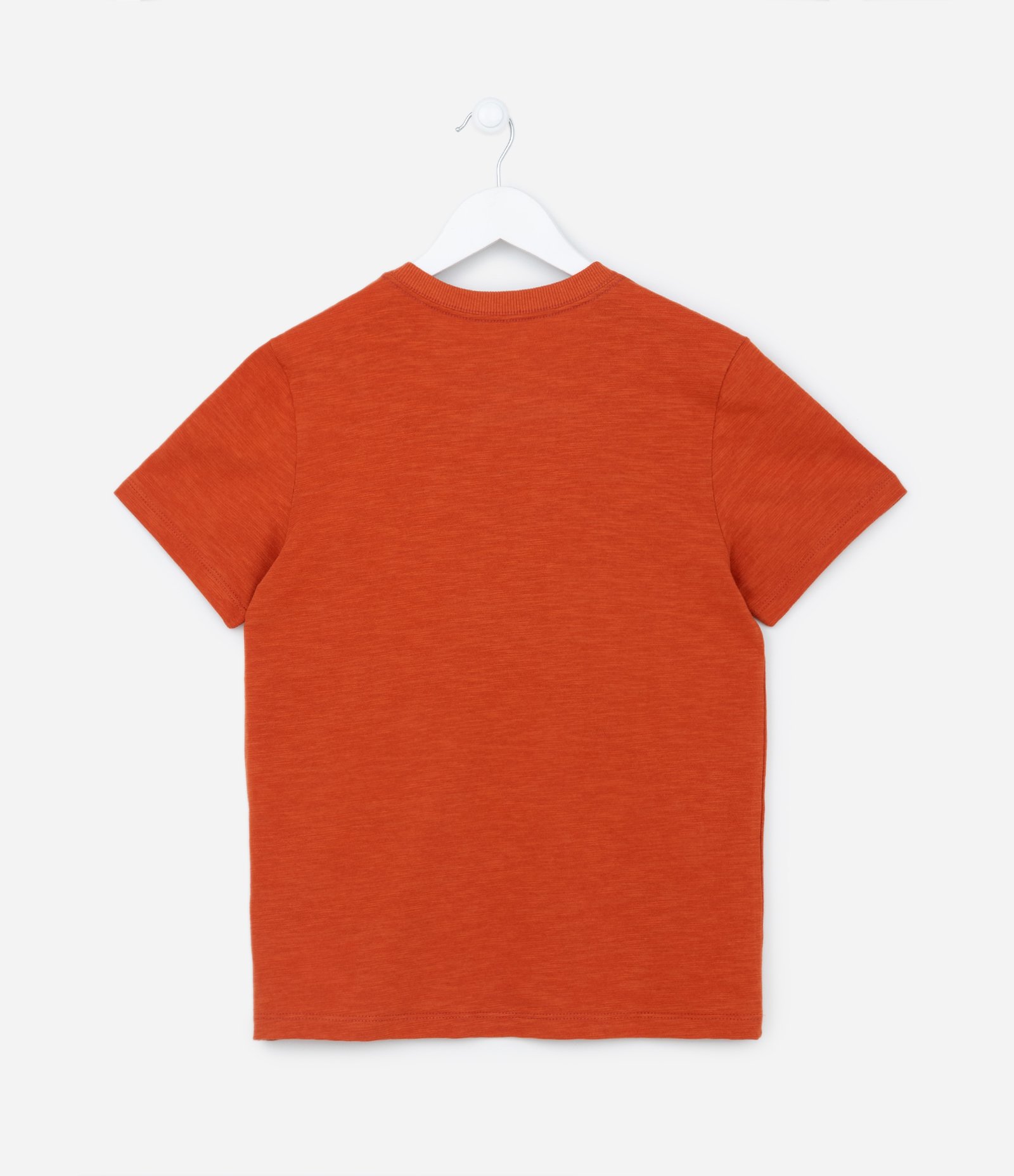 Camiseta Manga Curta Infatnil com Estampa de Montanhas - Tam 5 a 14 anos Vermelho 2