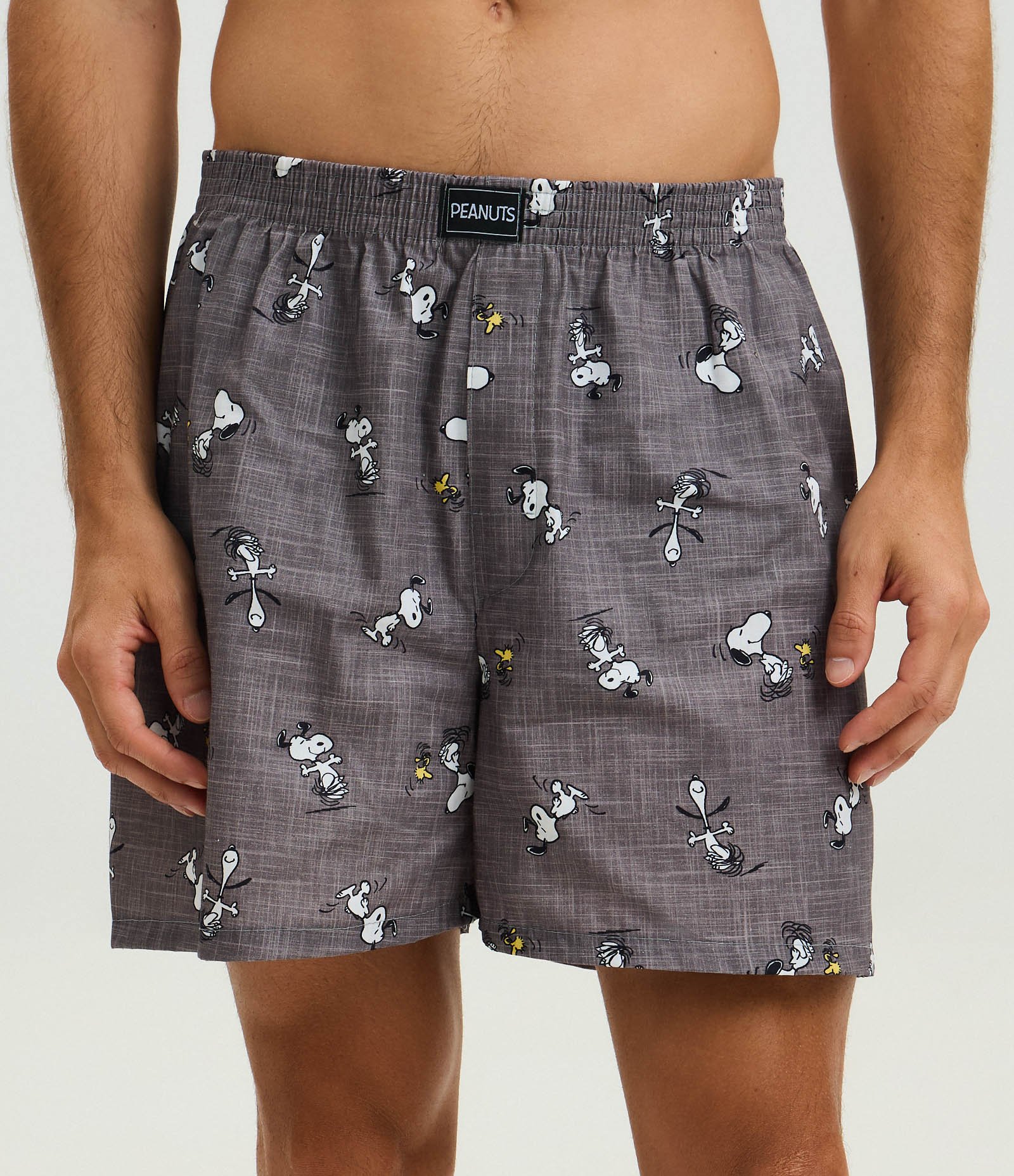 Cueca Samba Canção em Tricoline Estampa Snoopy Cinza 2