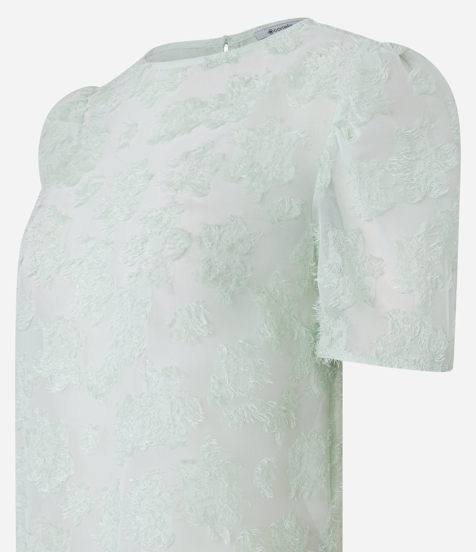 Blusa em Chiffon com Texturas e Manga Bufante Verde Claro 7