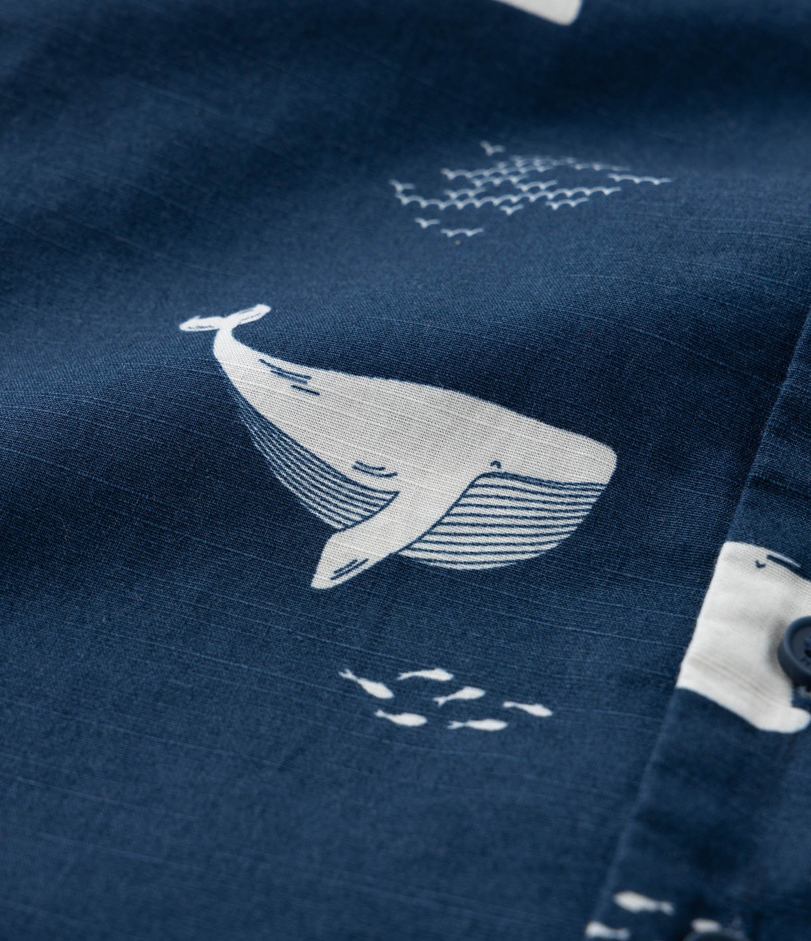 Camisa Infantil com Estampa Baleias - Tam 1 a 5 Anos Azul 3