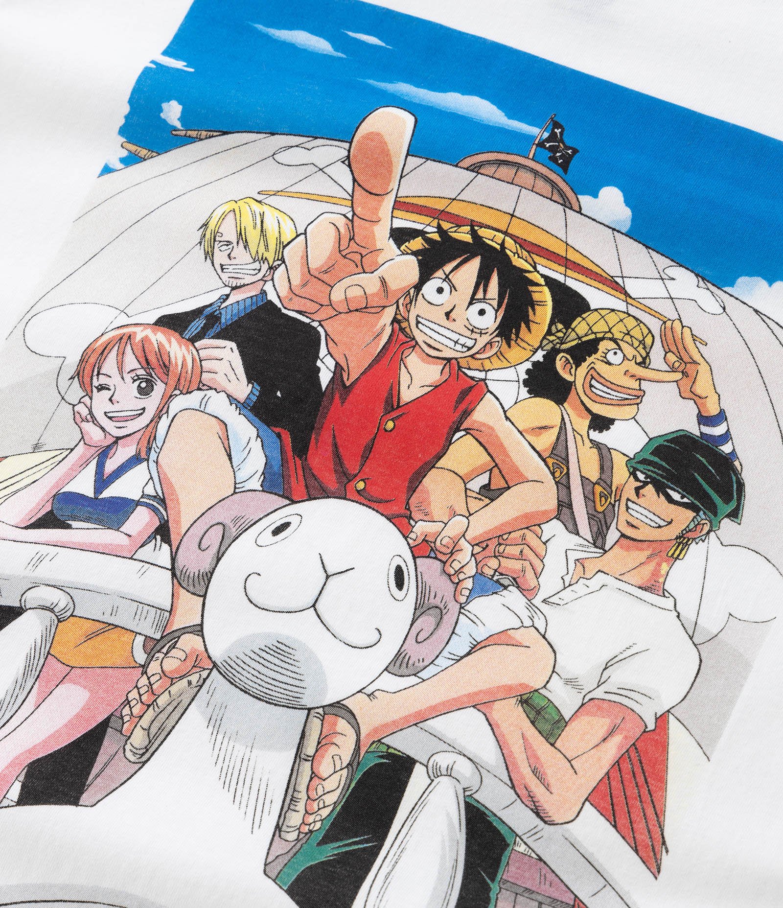 Camiseta Infantil com Estampa do One Piece - Tam 5 a 14 anos Branco 4