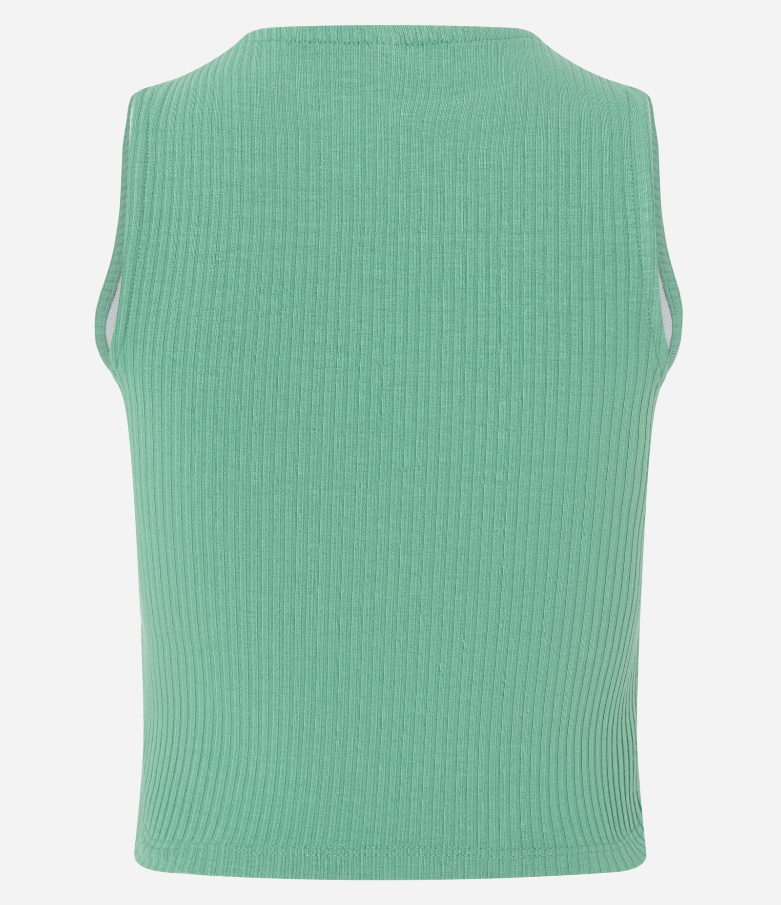 Blusa Sem Manga em Ribana com Tucanos Estampados Verde 7