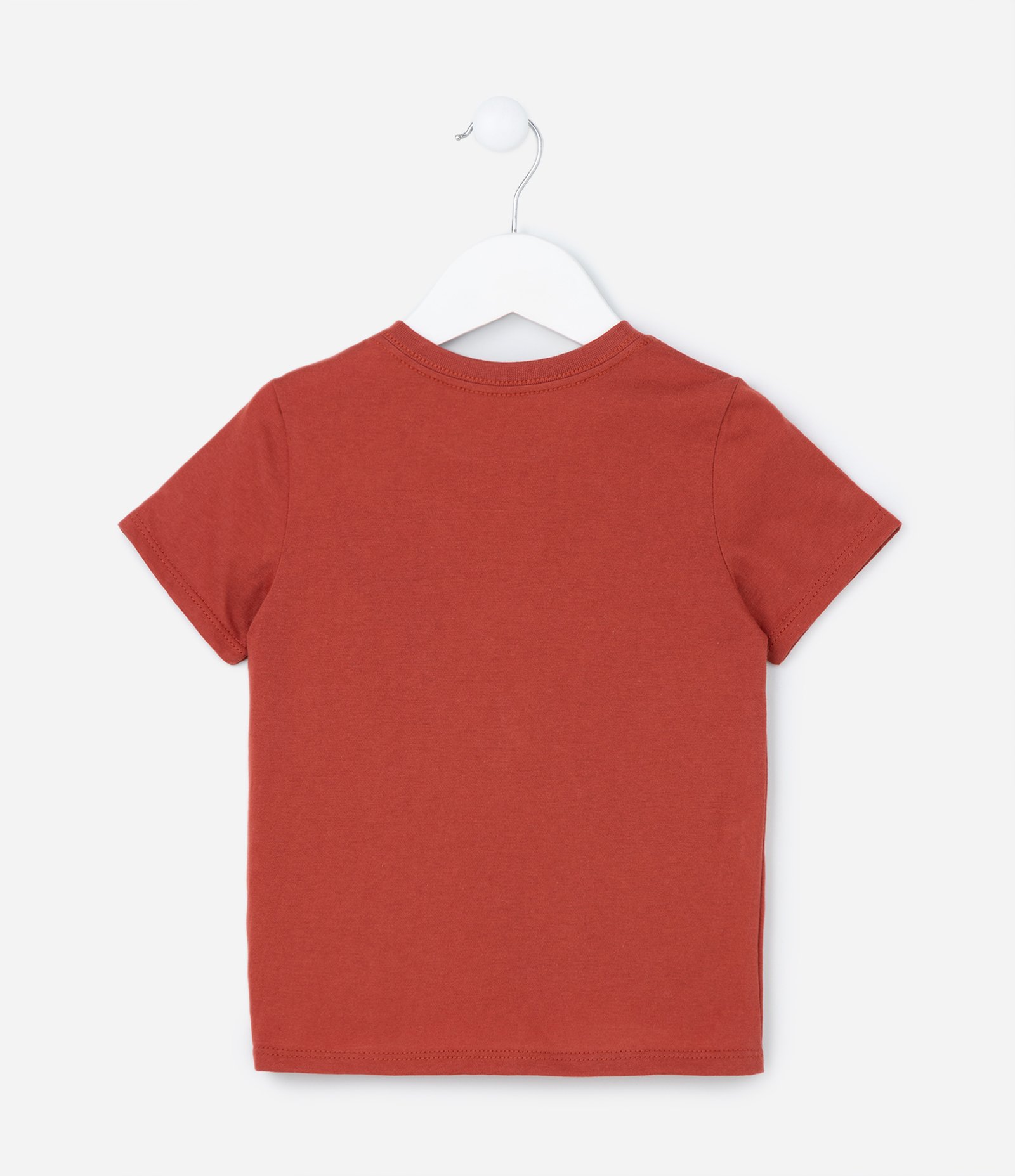 Camiseta Infantil com Estampa de Leão no Bolsinho Frontal - Tam 1 a 5 anos Terracota 2