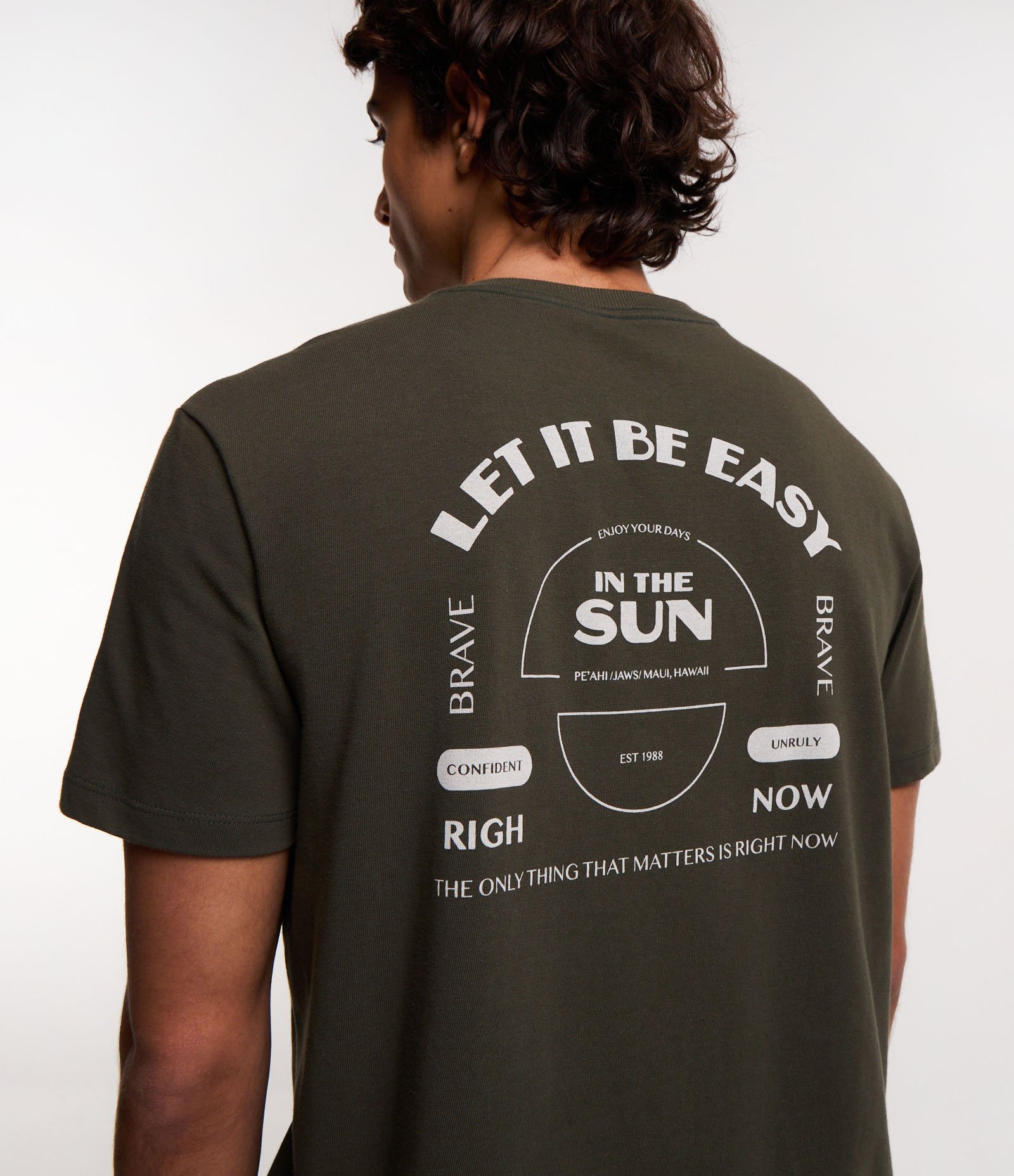 Camiseta Comfort em Malhão Estampa Sun Verde 1