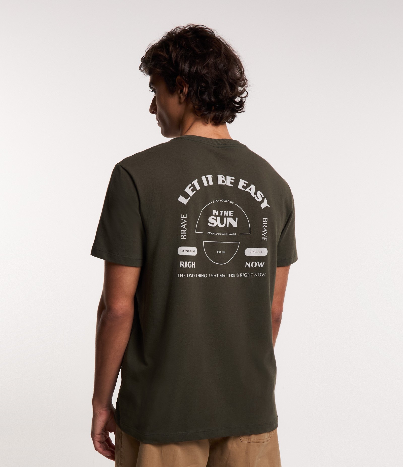 Camiseta Comfort em Malhão Estampa Sun Verde 4