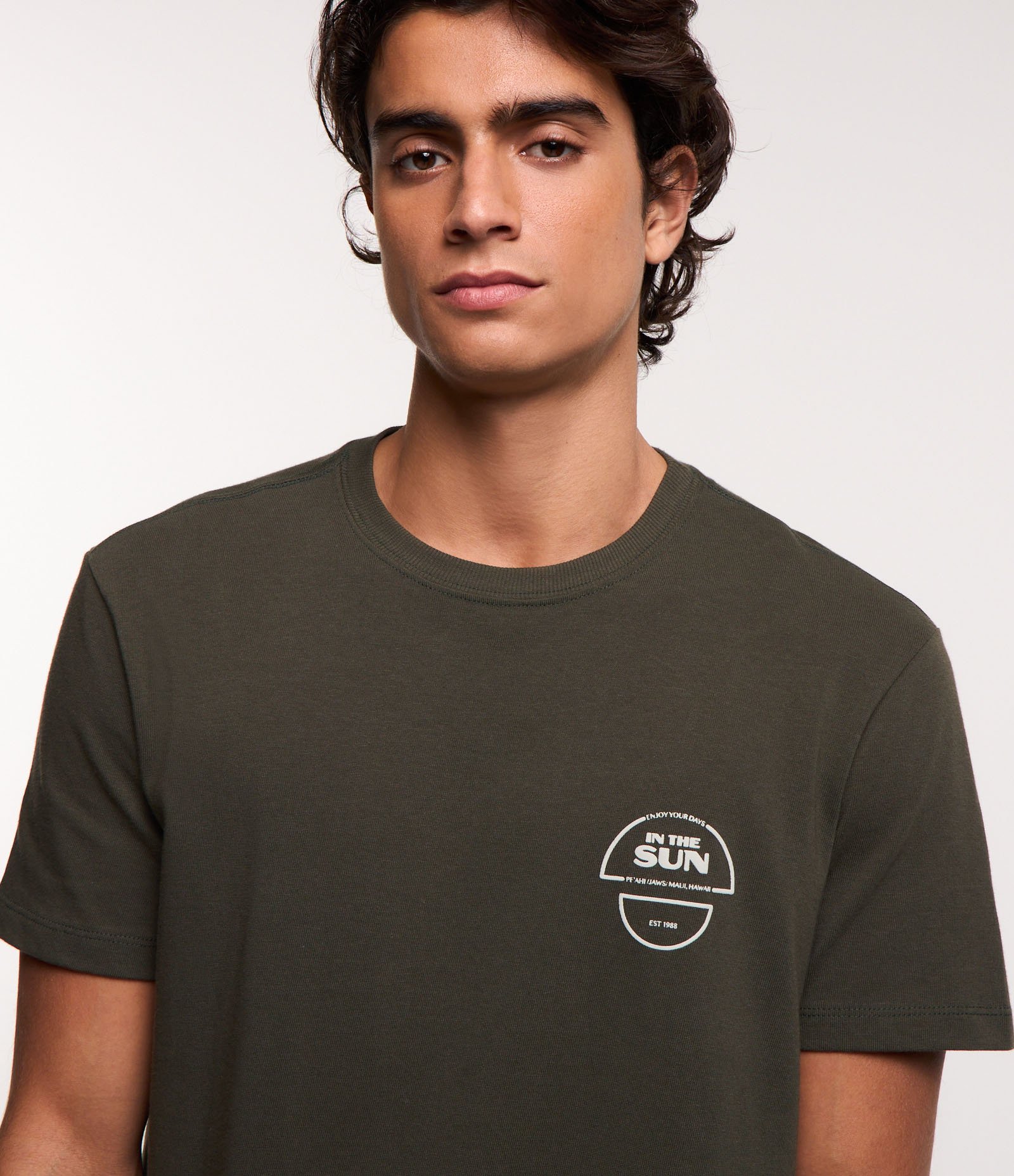 Camiseta Comfort em Malhão Estampa Sun Verde 5