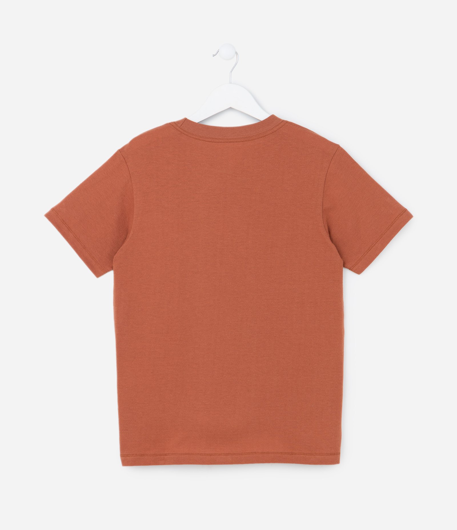 Camiseta Comfort Infantil em Algodão com Bordado no Peito - Tam 5 a 14 anos Marrom 2