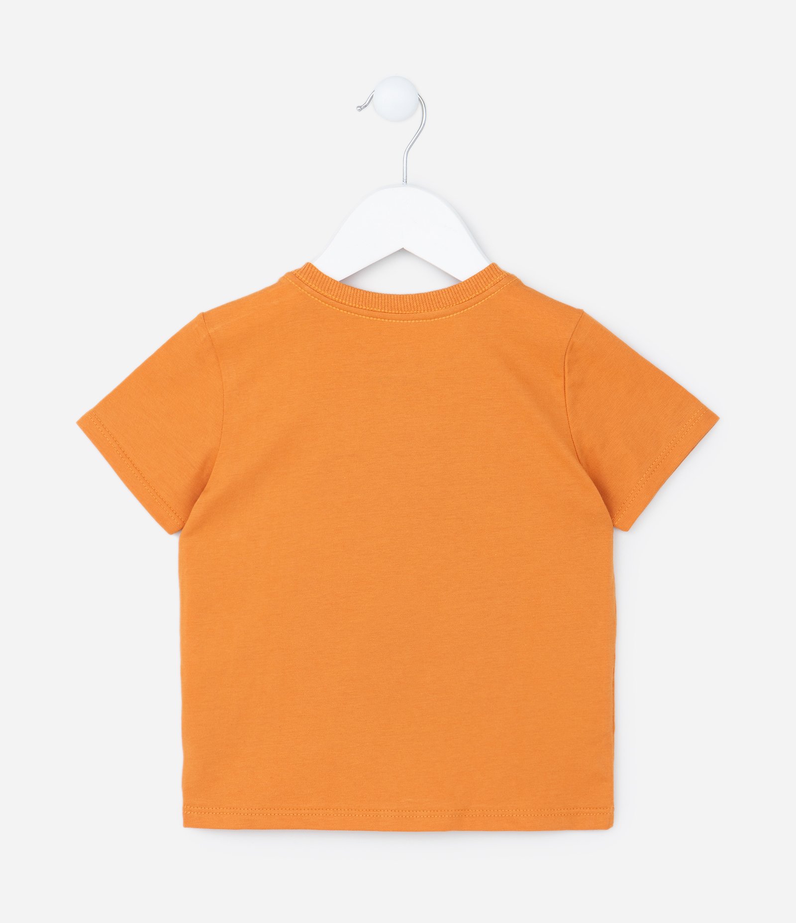 Camiseta Infantil Comfort com Estampa do Tigresaurus - Tam 1 a 5 anos Laranja 2