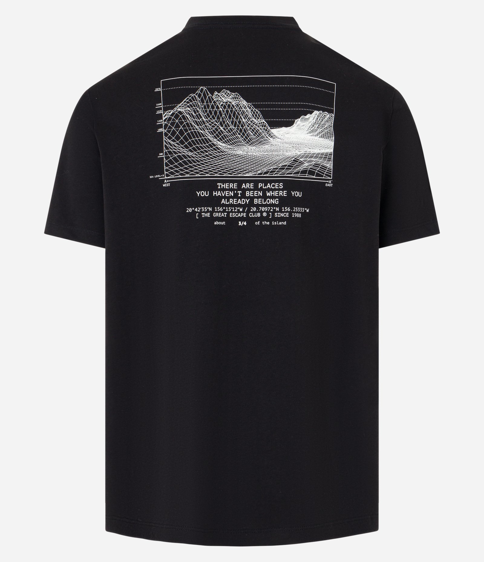 Camiseta Comfort em Malhão com Estampa de Montanha Preto 7