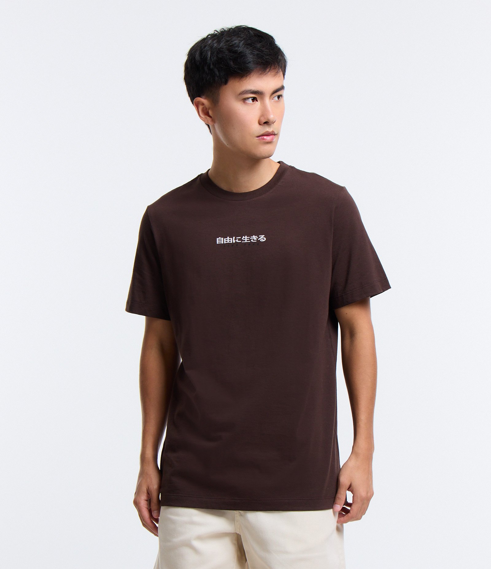 Camiseta Regular em Algodão e Estampa Garça Marrom 1