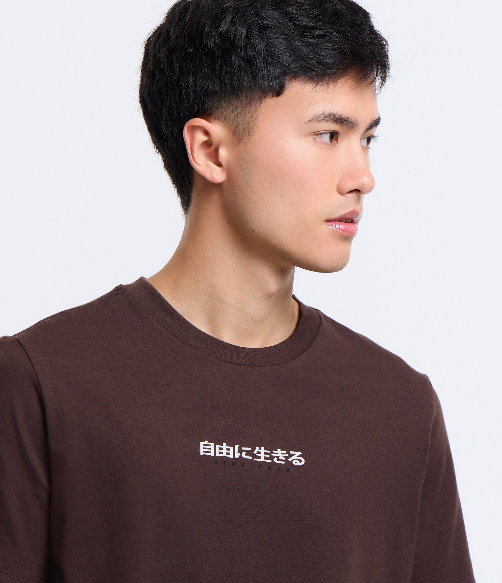 Camiseta Regular em Algodão e Estampa Garça Marrom 4