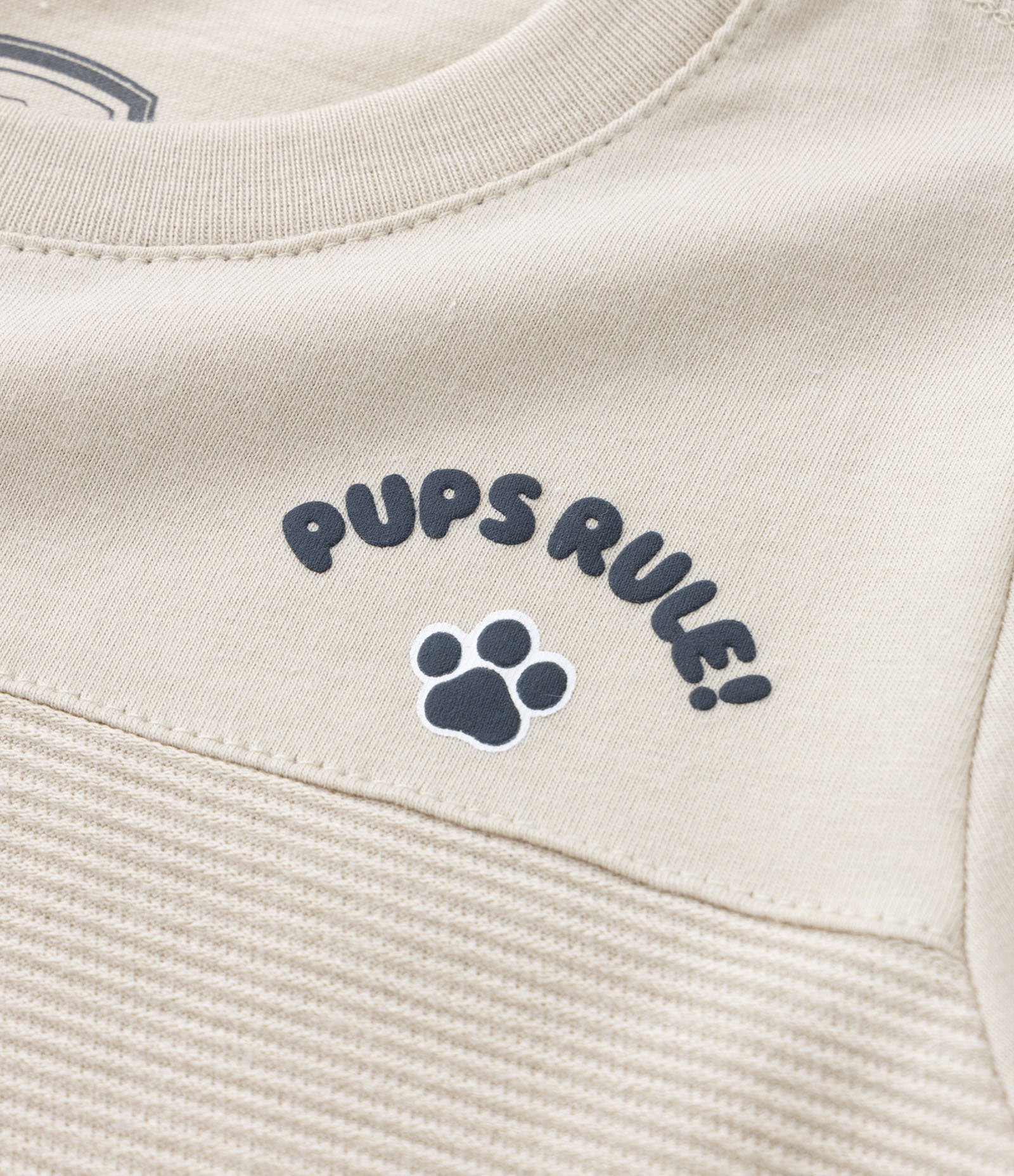 Camiseta Infantil com Recorte Canelado e Estampa da Patrulha Canina - Tam 2 a 5 anos Bege 5