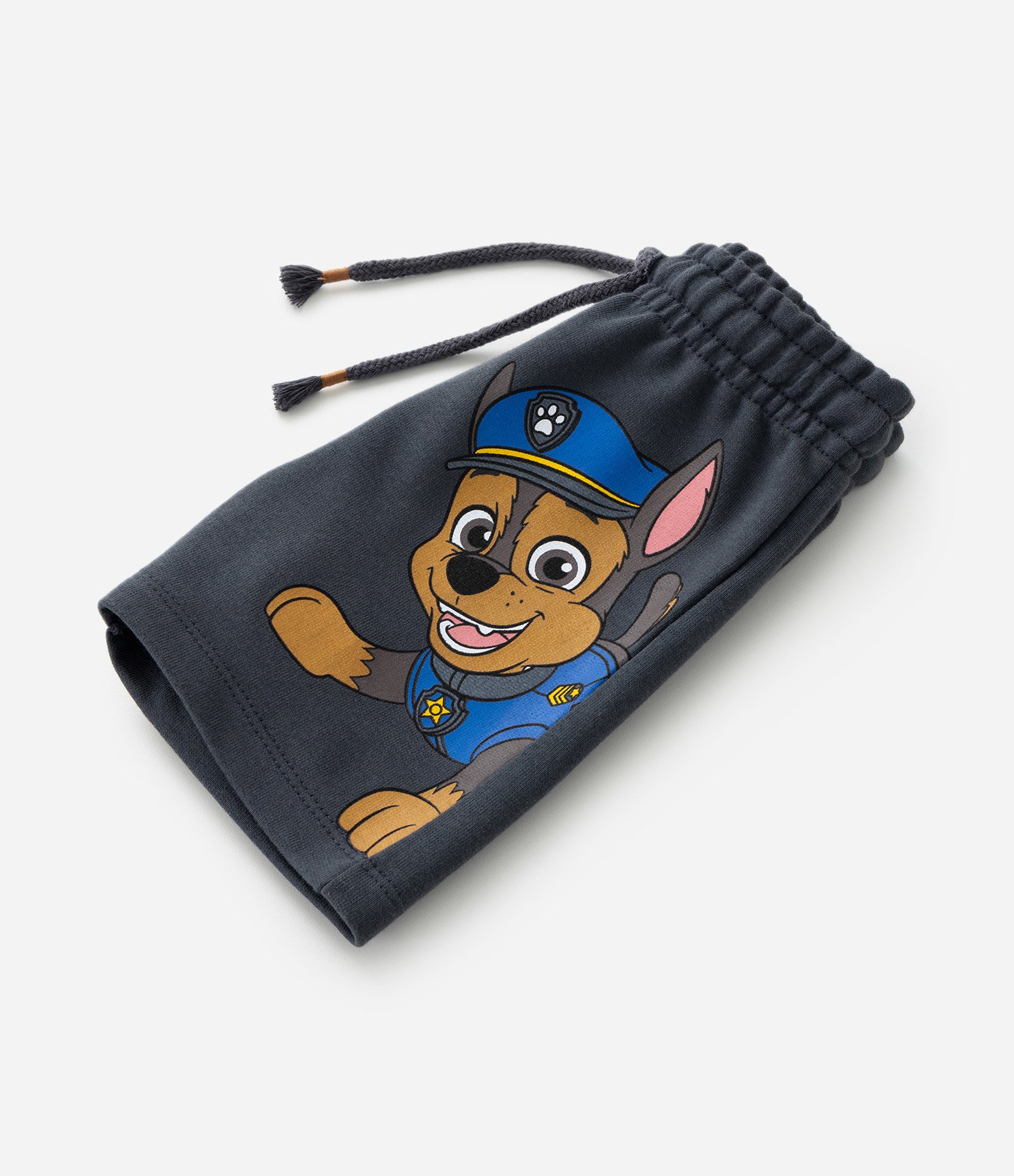 Conjunto Infantil com Estampa da Patrulha Canina - Tam 2 a 5 anos Cinza 6