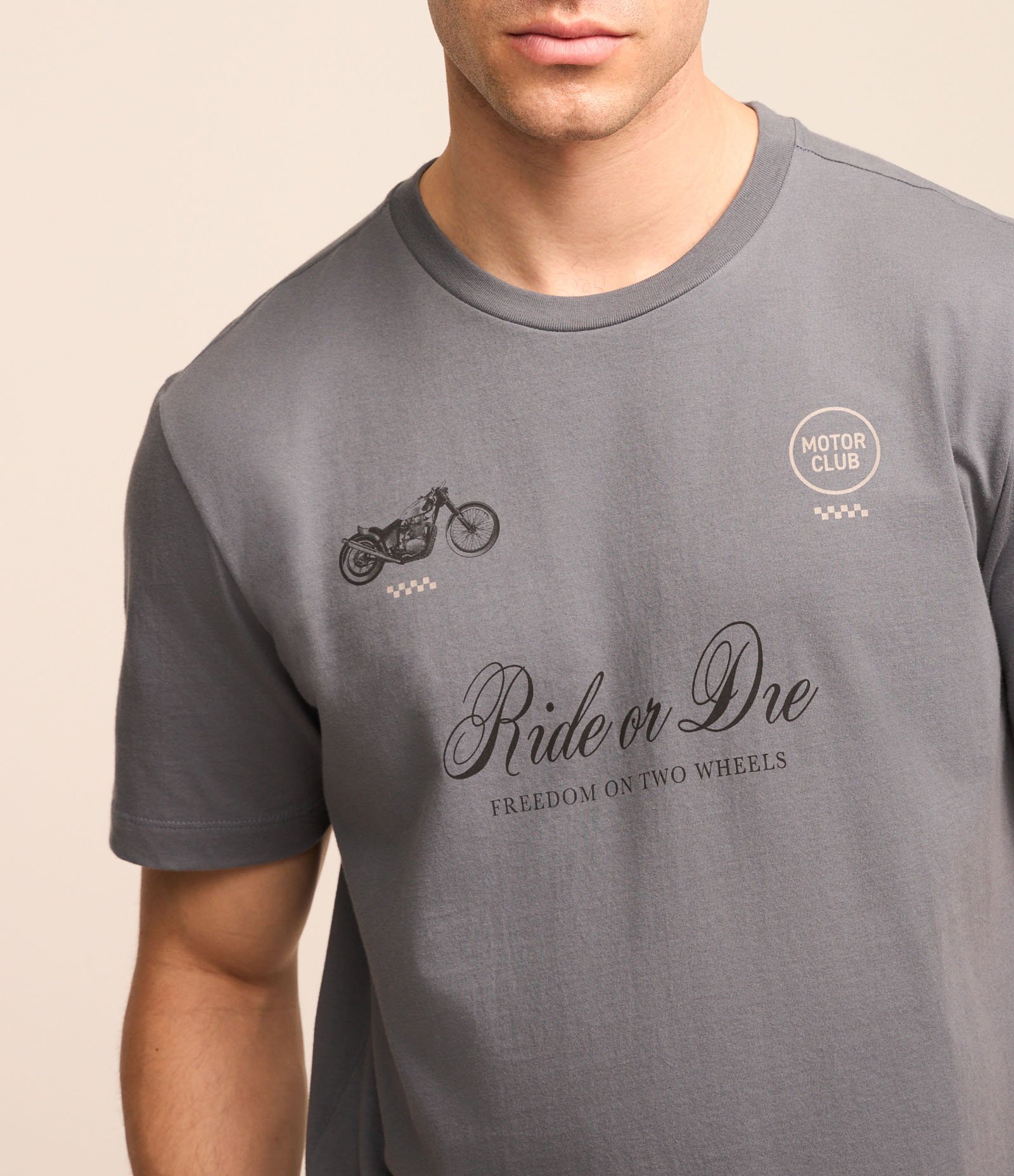 Camiseta Comfort em Algodão com Estampa Lettering Cinza 1