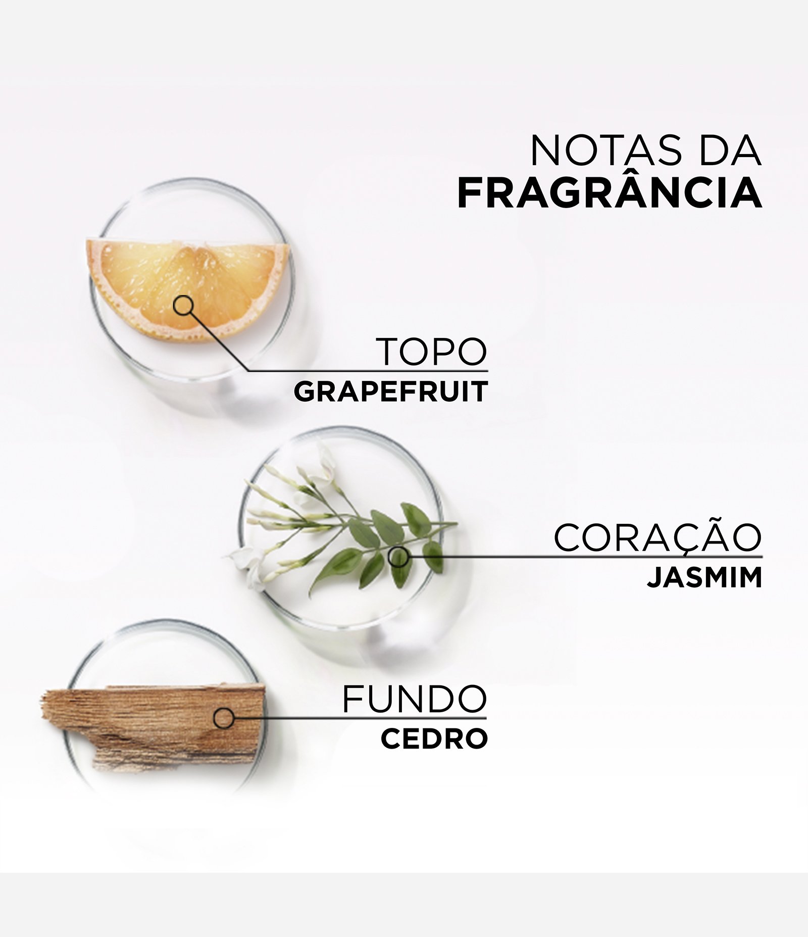 Acidificante Capilar Ultra Gloss Elseve Glycolic Gloss L'óreal Paris 200ml 7