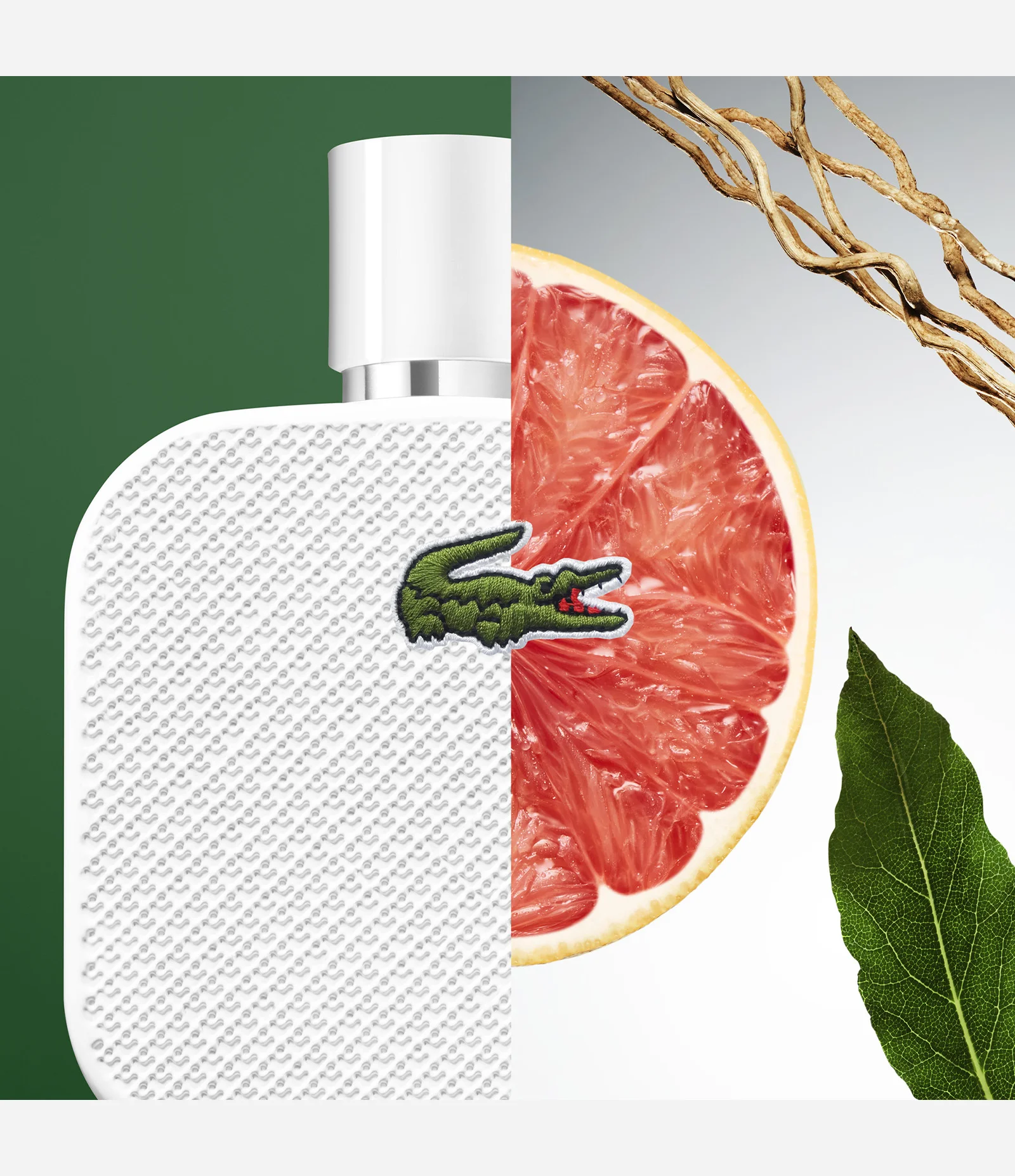 Perfume Lacoste L1212 Blanc Eau de Toilette Masculino  100ML 2