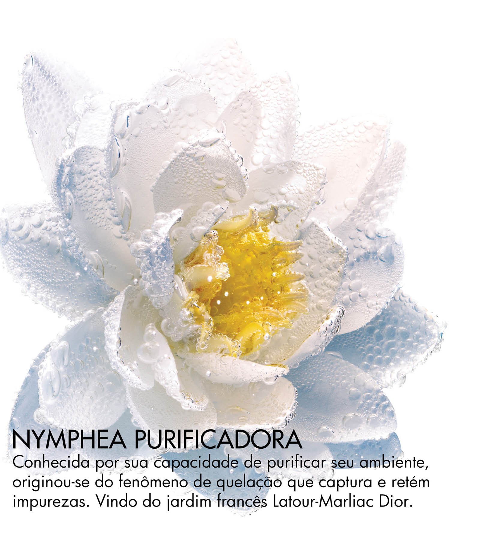 Demaquilante Bifásico Le Demaquillant Yeux et Levres Dior 125ml 2