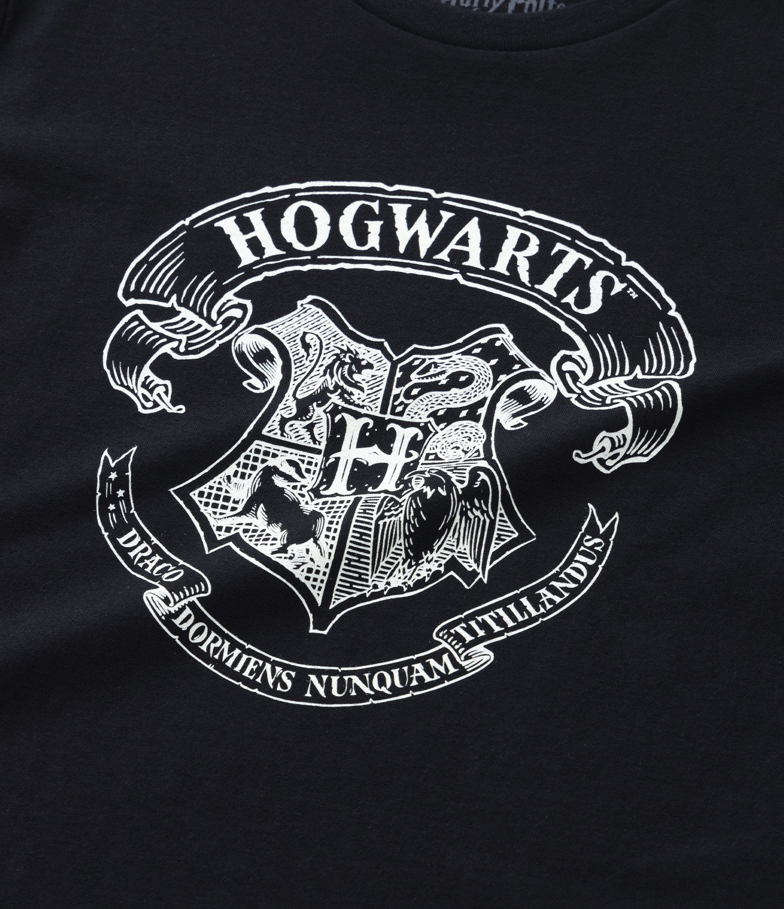 Camiseta Infantil com Estampa Brasão de Hogwarts que Brilha no Escuro - Tam 7 a 14 anos Preto 4