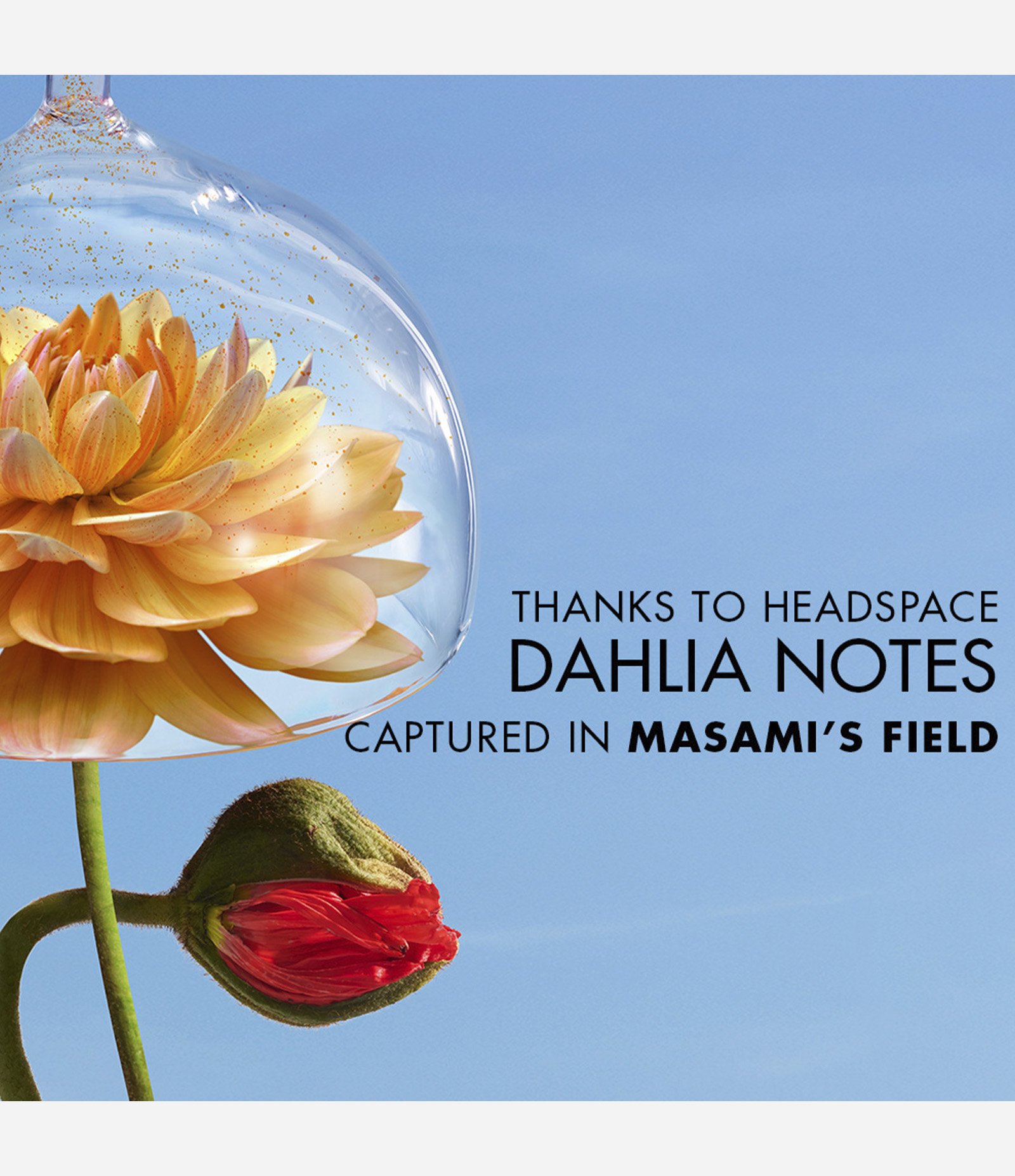 Perfume Flower By Kenzo La Recolte Parisienne Eau de Parfum Feminino 4