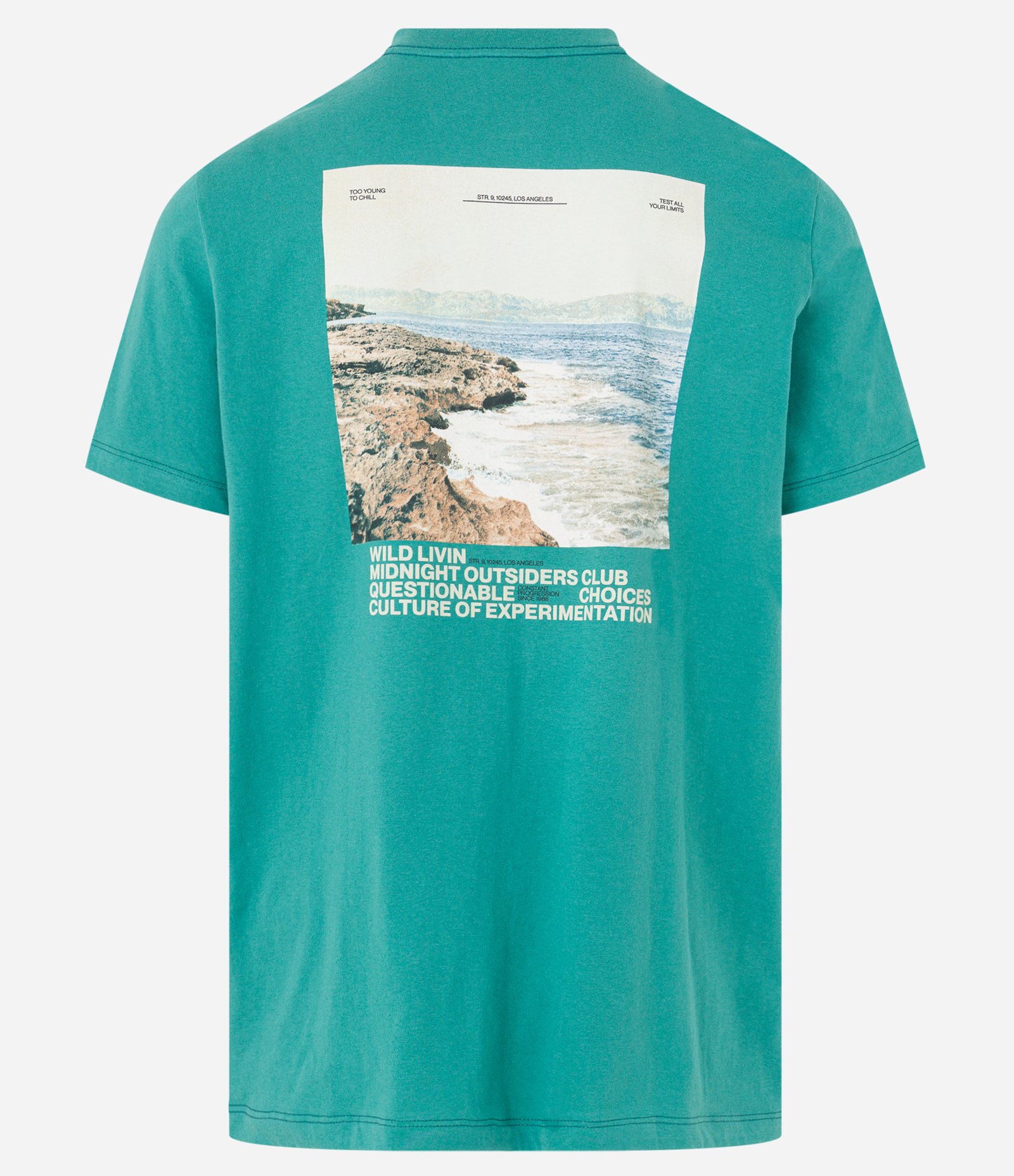 Camiseta Comfort em Algodão com Estampa Photoprint Azul 6