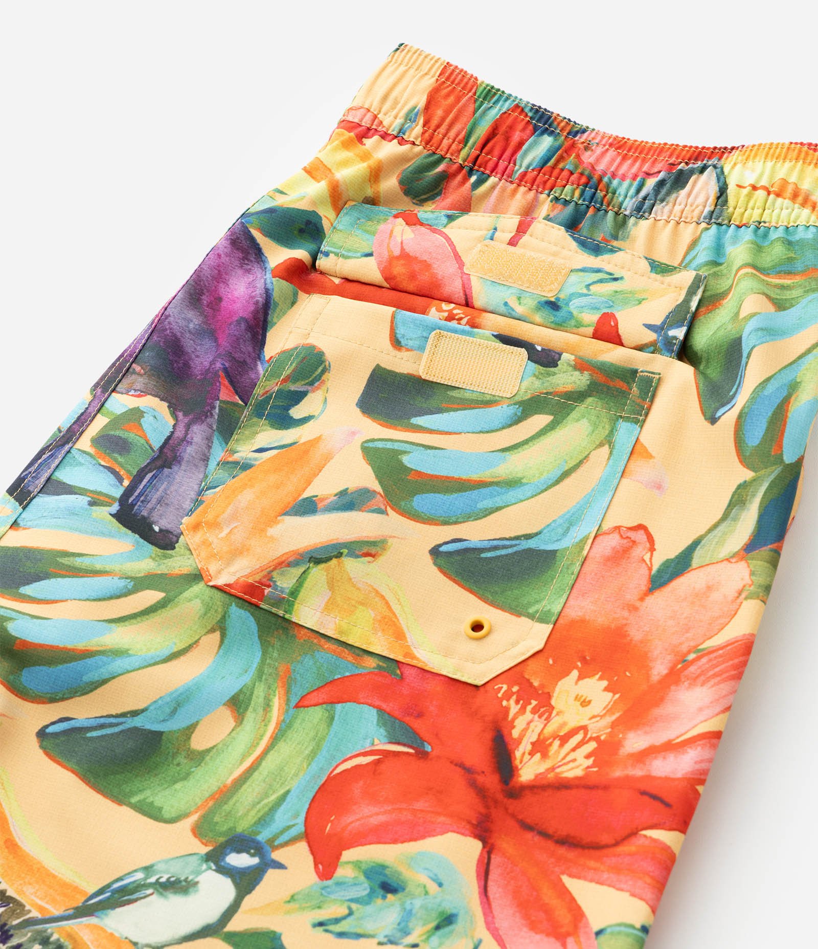 Bermuda em Microfibra com Estampa Floral com Pássaros Multicores 10