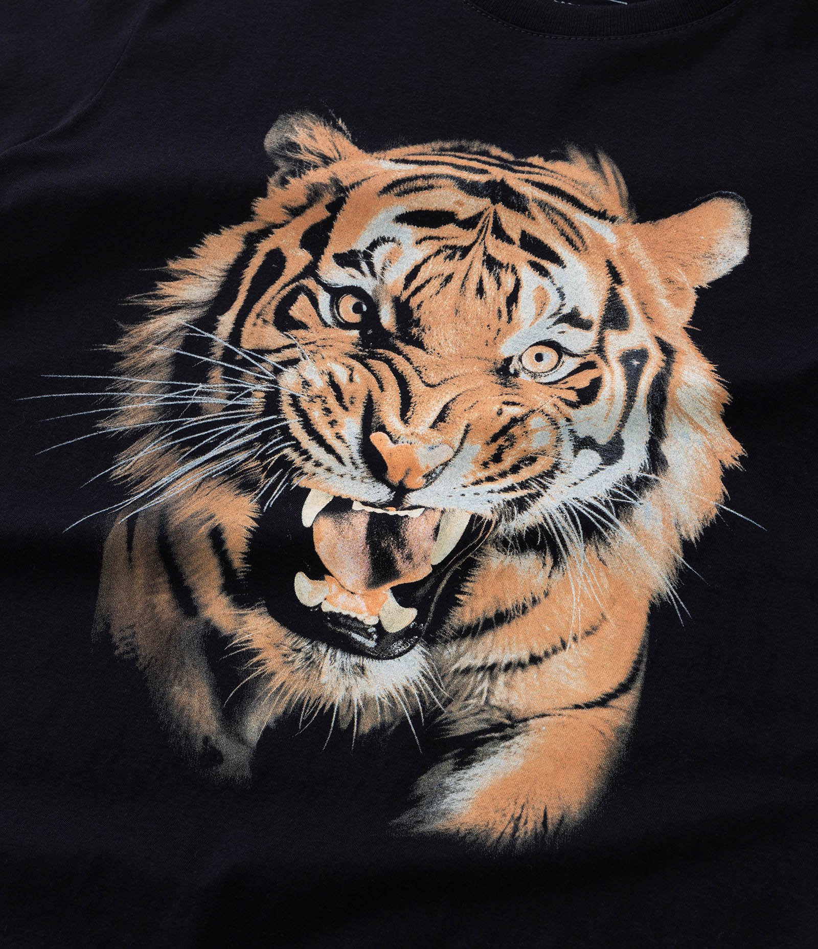 Camiseta Infantil em Algodão com Estampa de Tigre - Tam 5 a 14 Anos Preto 4