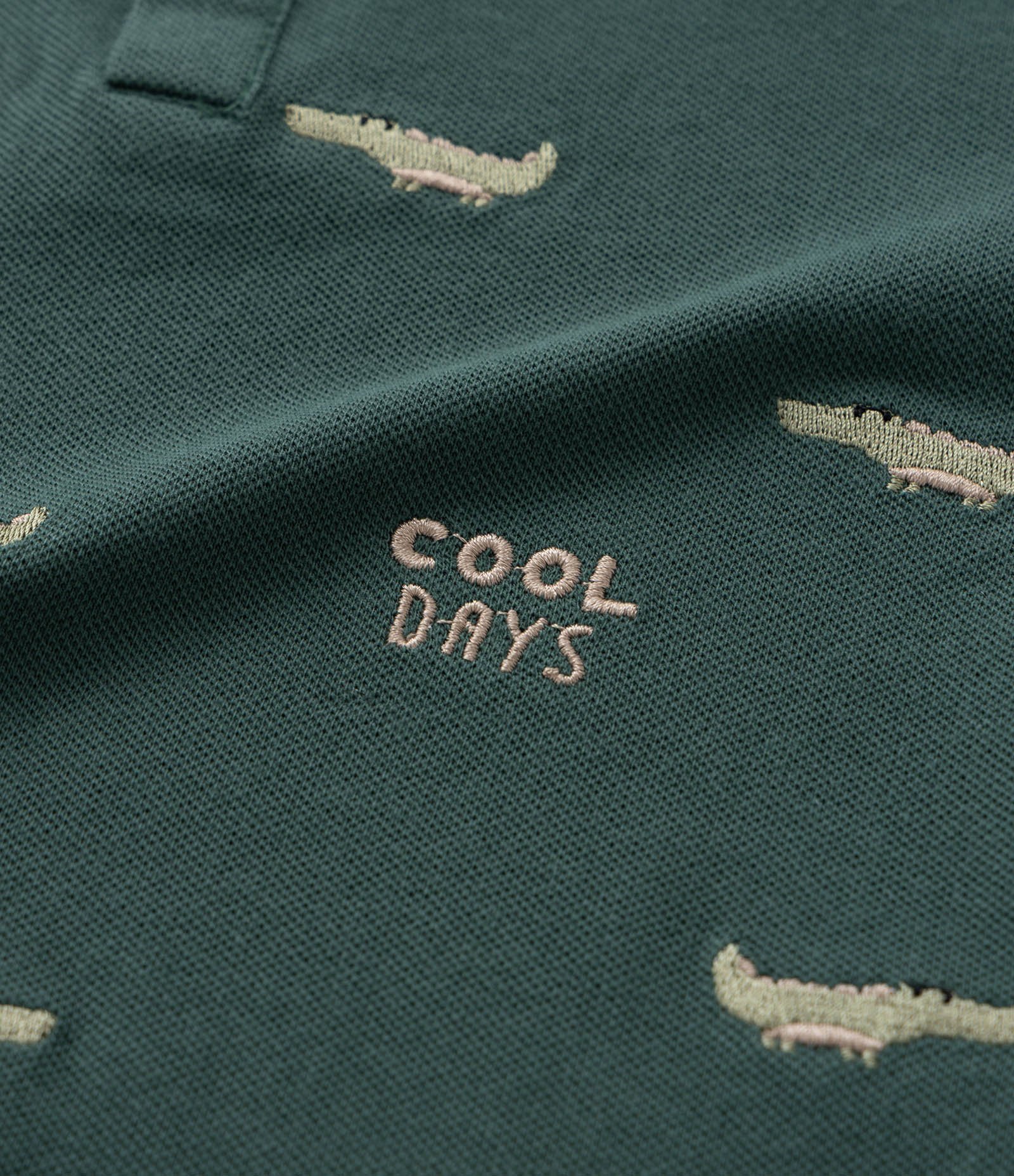 Conjunto Infantil com Polo Bordada e Bermuda em Sarja - 1 a 5/6 Anos Verde/Bege 5