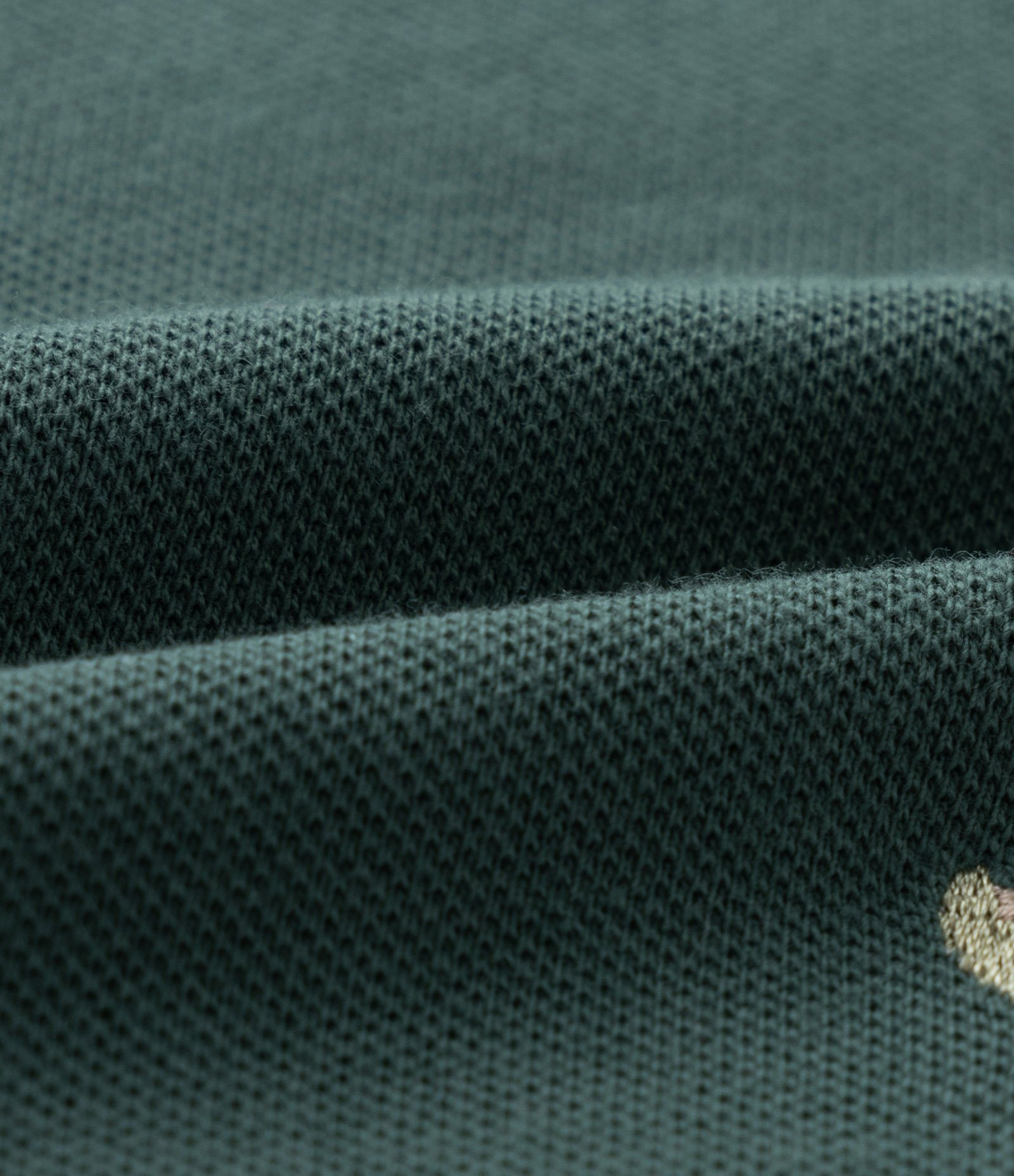 Conjunto Infantil com Polo Bordada e Bermuda em Sarja - 1 a 5/6 Anos Verde/Bege 7