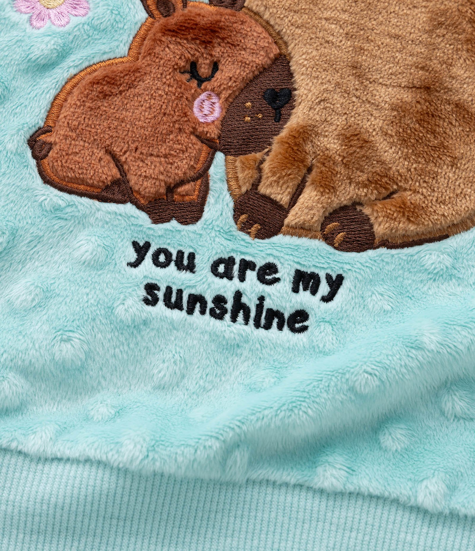 Pijama Infantil em Plush com Bordado de Capivarinhas - Tam 2 a 4 Anos Verde 9