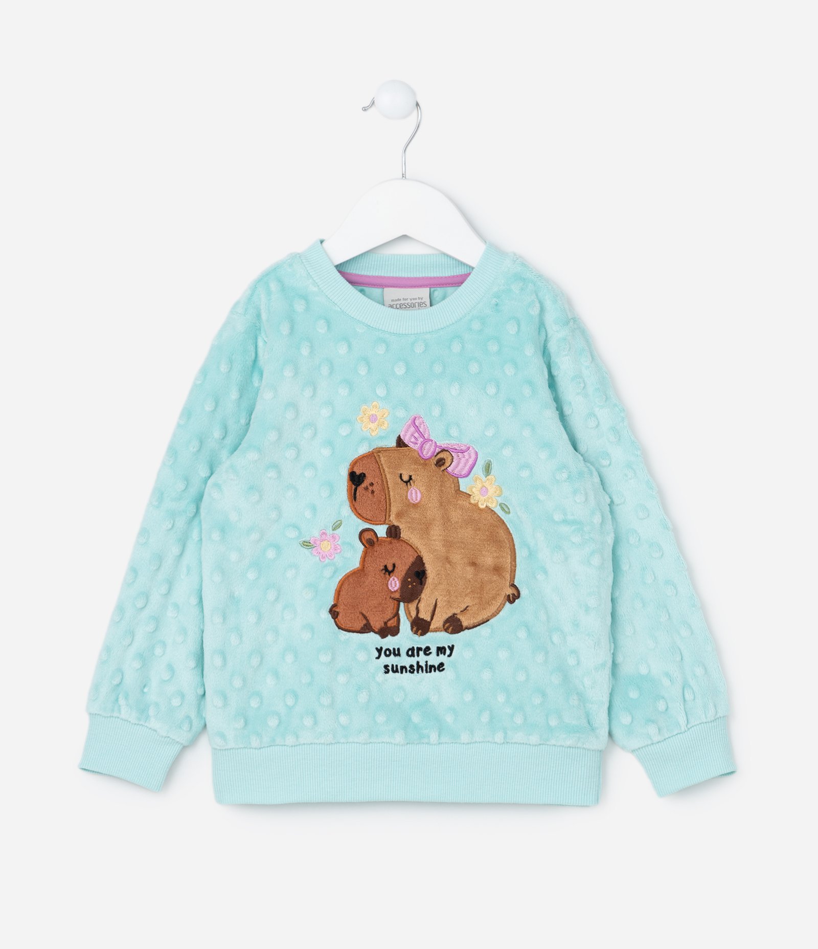 Pijama Infantil em Plush com Bordado de Capivarinhas - Tam 2 a 4 Anos Verde 2