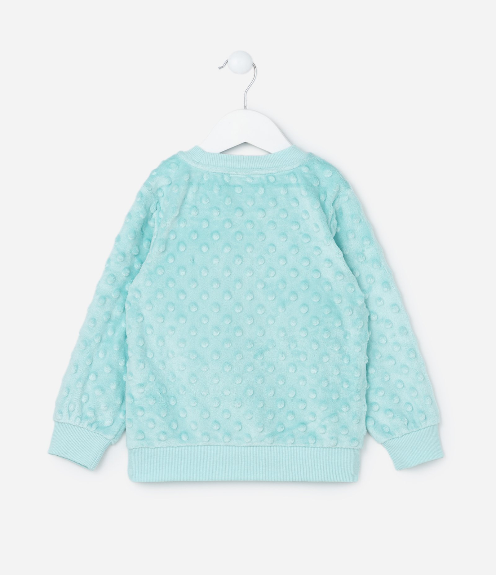 Pijama Infantil em Plush com Bordado de Capivarinhas - Tam 2 a 4 Anos Verde 3