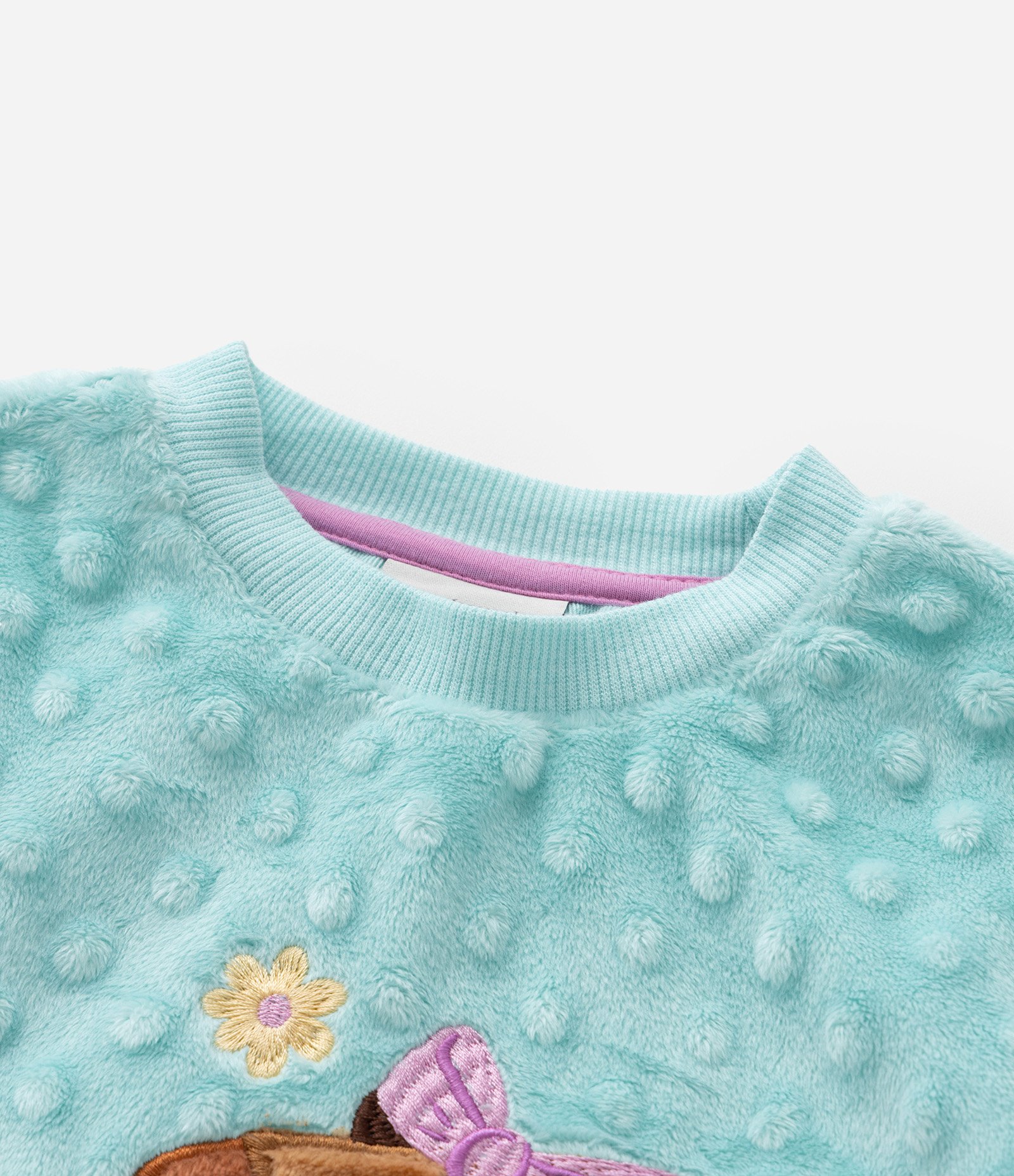 Pijama Infantil em Plush com Bordado de Capivarinhas - Tam 2 a 4 Anos Verde 6