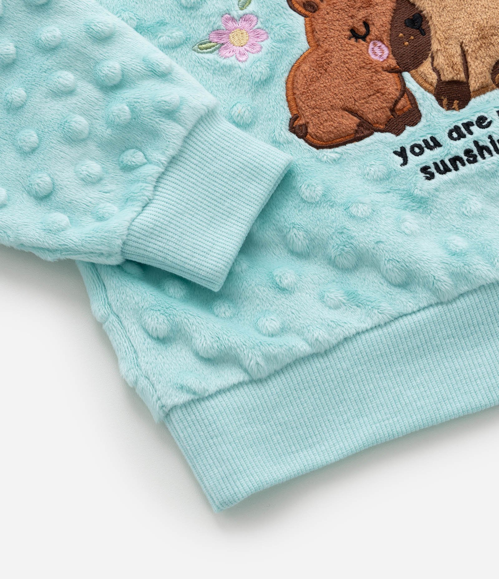 Pijama Infantil em Plush com Bordado de Capivarinhas - Tam 2 a 4 Anos Verde 7