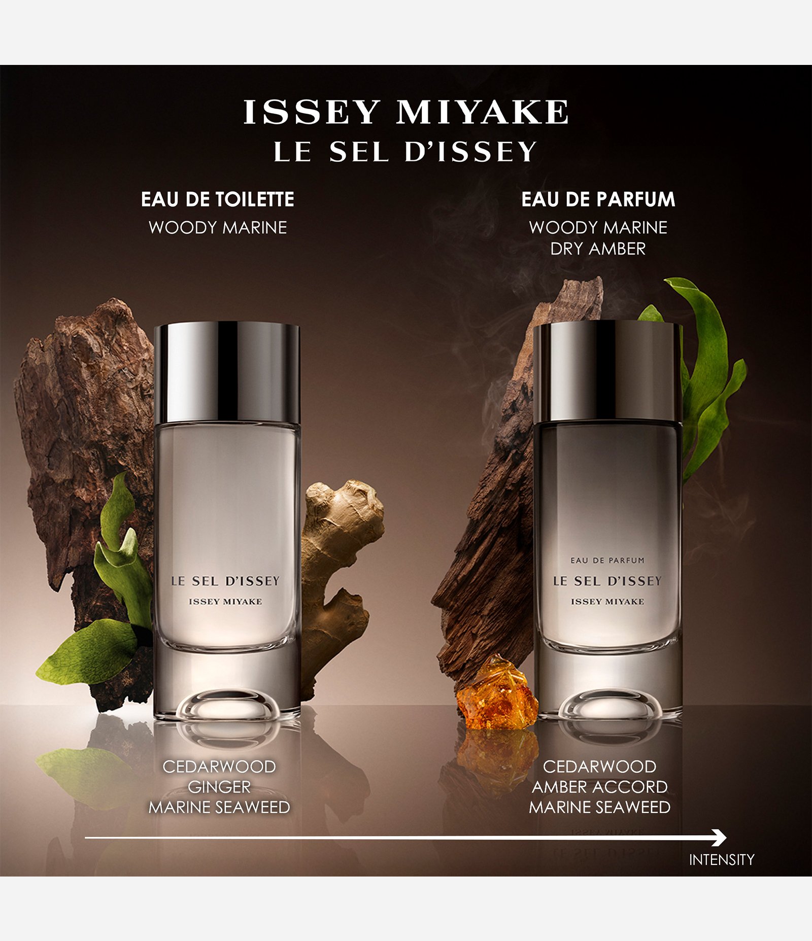 新品未開封 ISSEY MIYAKE LE SEL D'ISSEY 50ml Perfume Issey Miyake Le Sel Dissey EDT 50ml