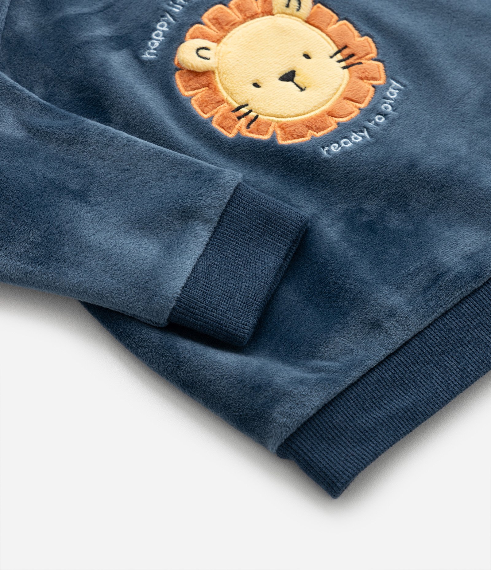 Conjunto Infantil em Plush com Bordado de Leãozinho - Tam 0 a 18 meses Azul 9