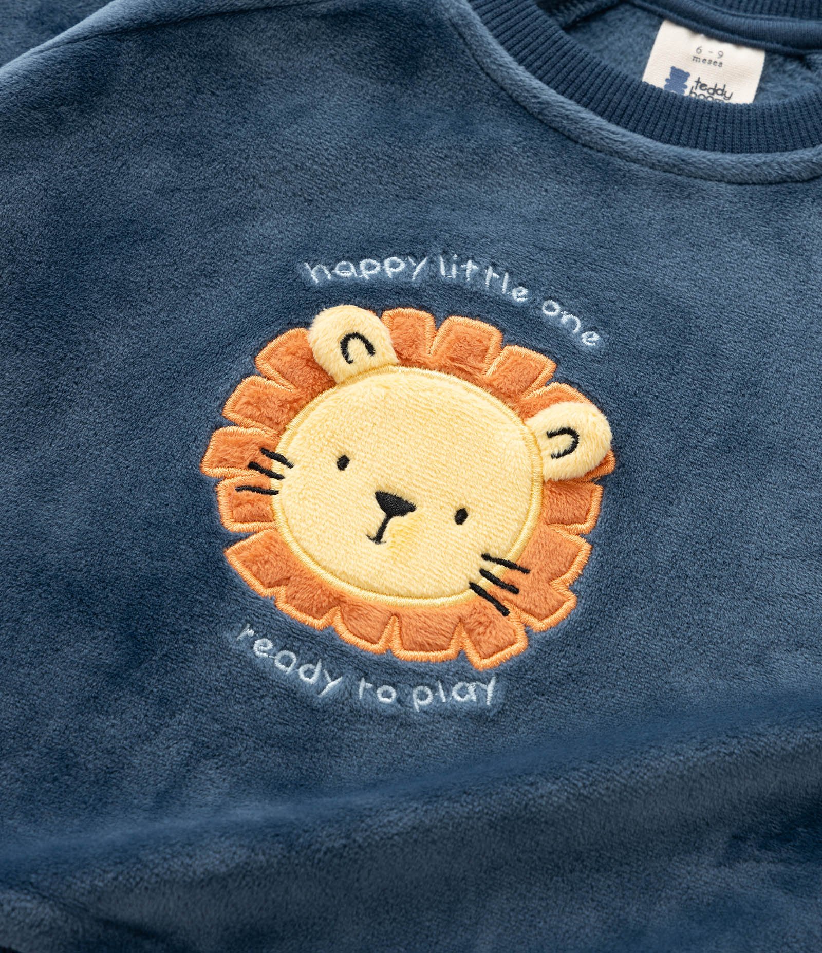 Conjunto Infantil em Plush com Bordado de Leãozinho - Tam 0 a 18 meses Azul 10