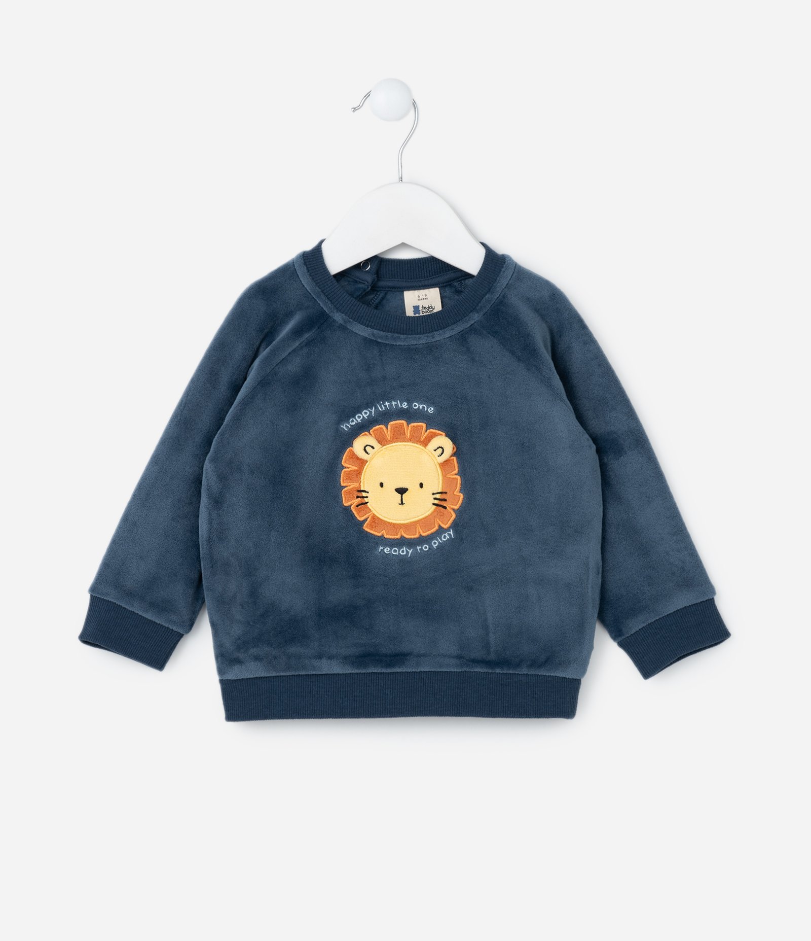 Conjunto Infantil em Plush com Bordado de Leãozinho - Tam 0 a 18 meses Azul 2