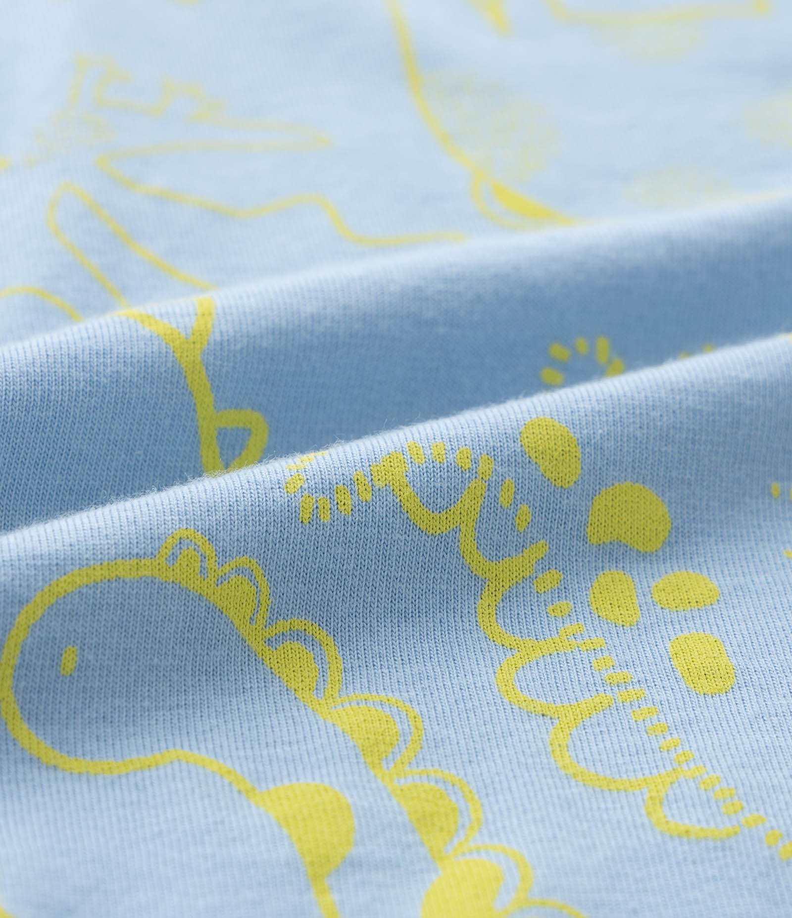 Conjunto Infantil com Estampa Dino - Tam 0 a 18 Meses Azul 6