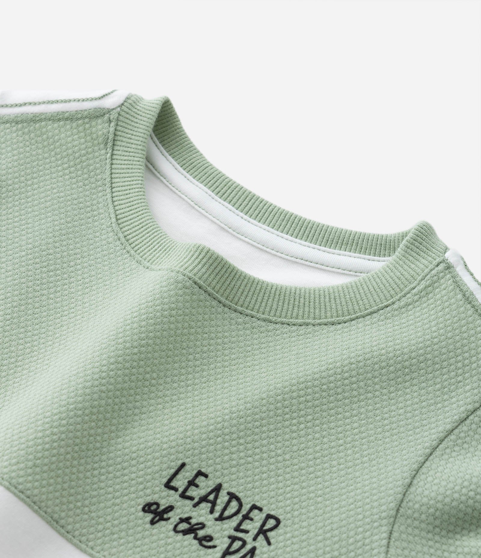 Camiseta Infantil com Estampa do Rei Leão - Tam 1 a 5 Anos Verde/Branco 4