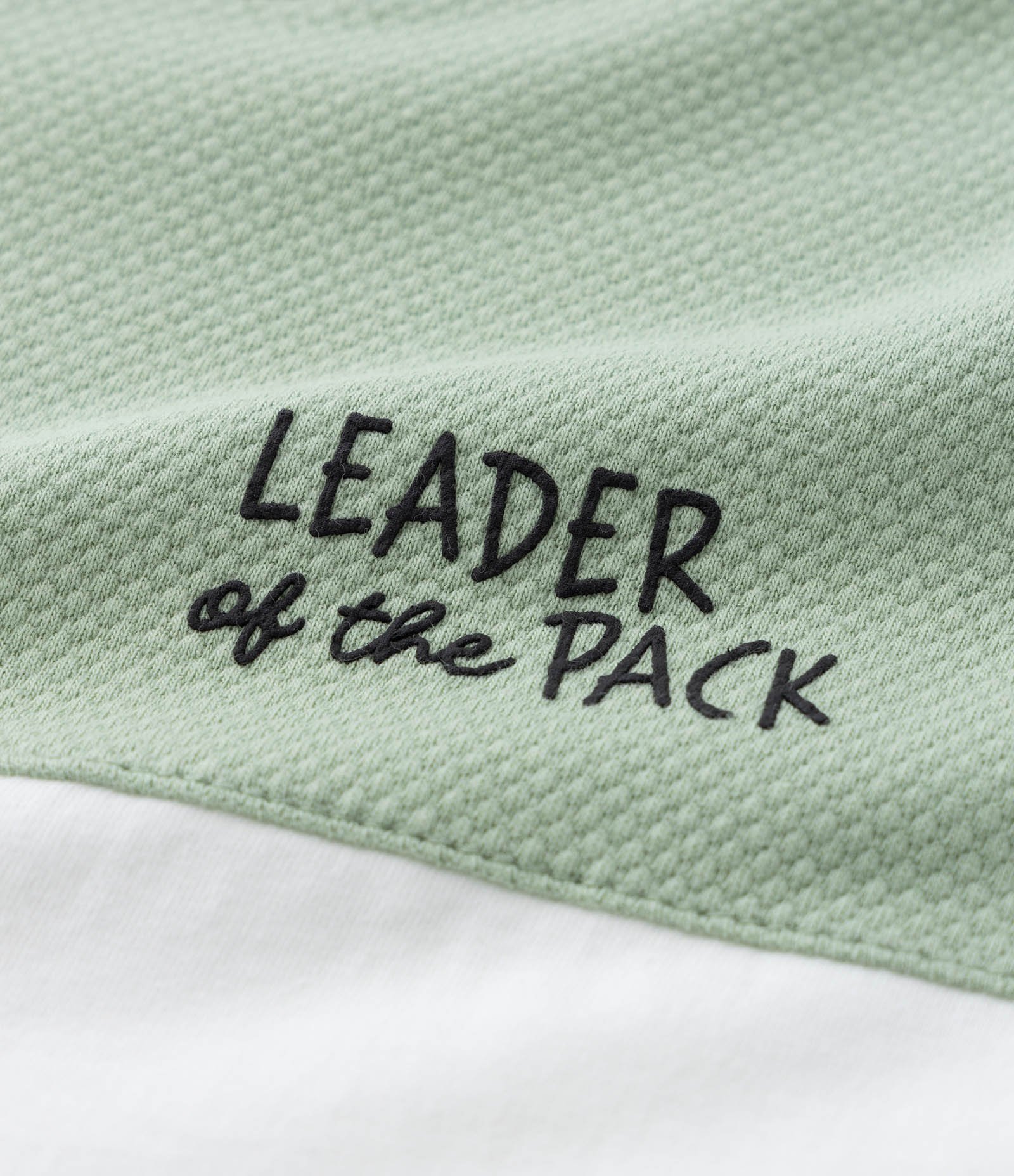 Camiseta Infantil com Estampa do Rei Leão - Tam 1 a 5 Anos Verde/Branco 5