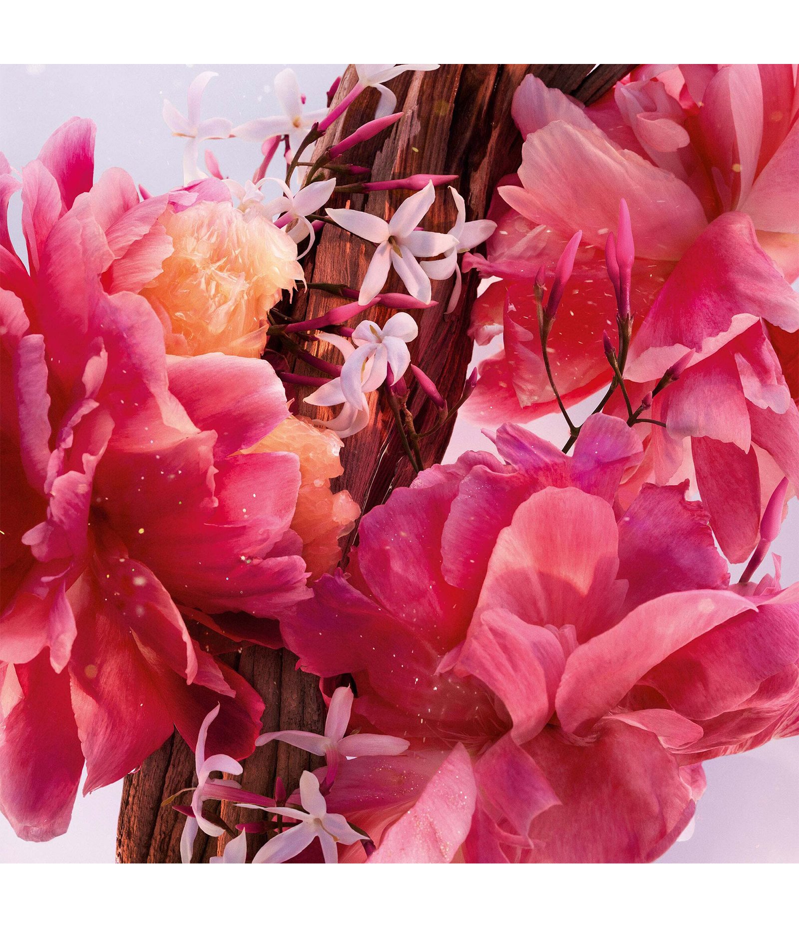 Perfume Miss Dior Parfum Roller Pearl Eau de Toilette Feminino 20ml 3